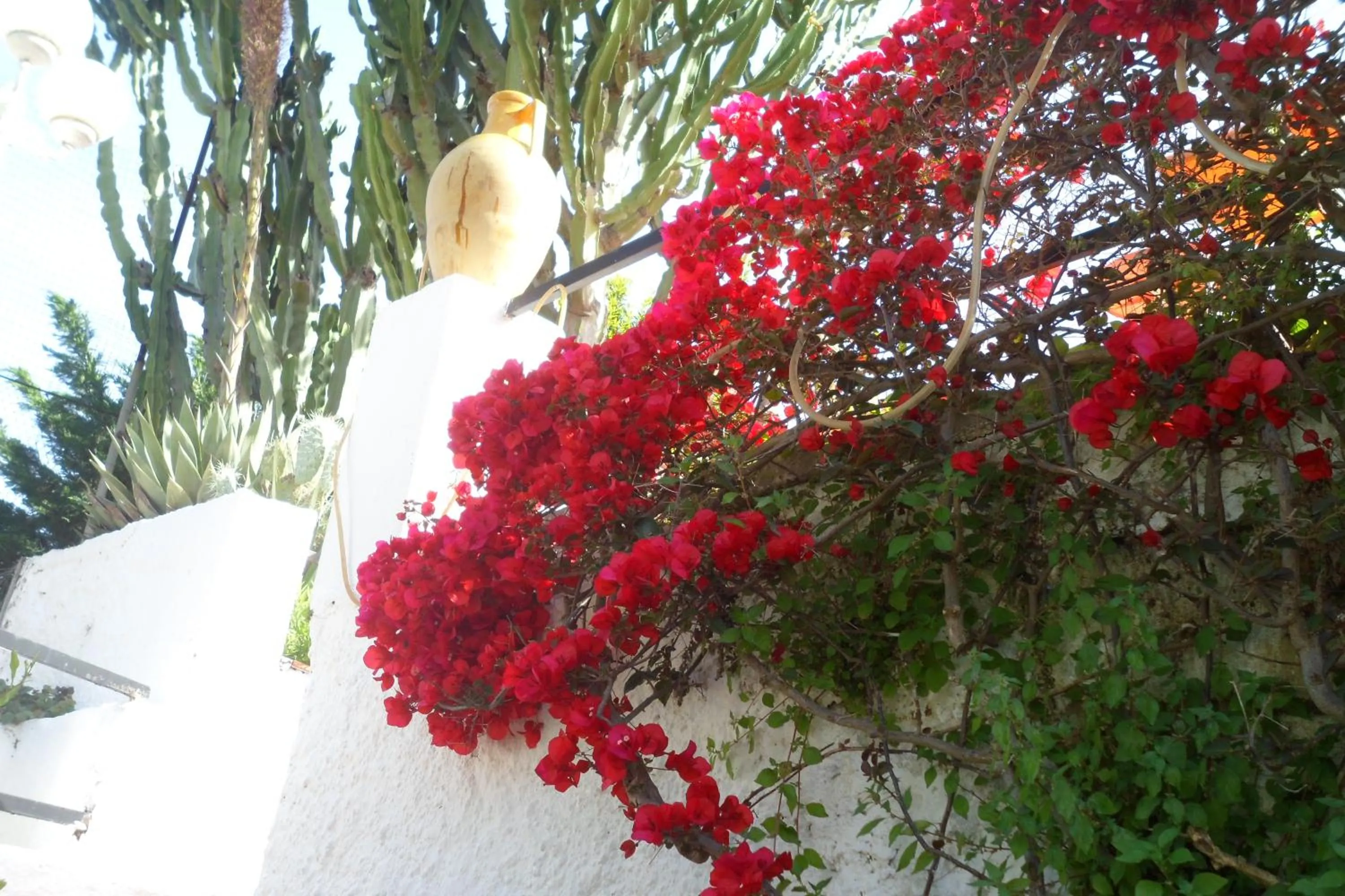 Other in Hotel Park Calitto