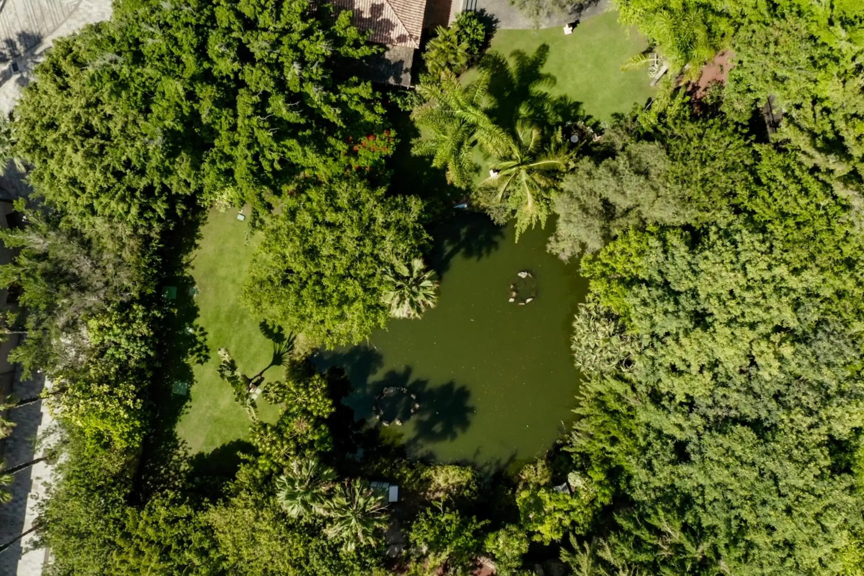 Garden, Bird's-eye View in Bahia del Duque