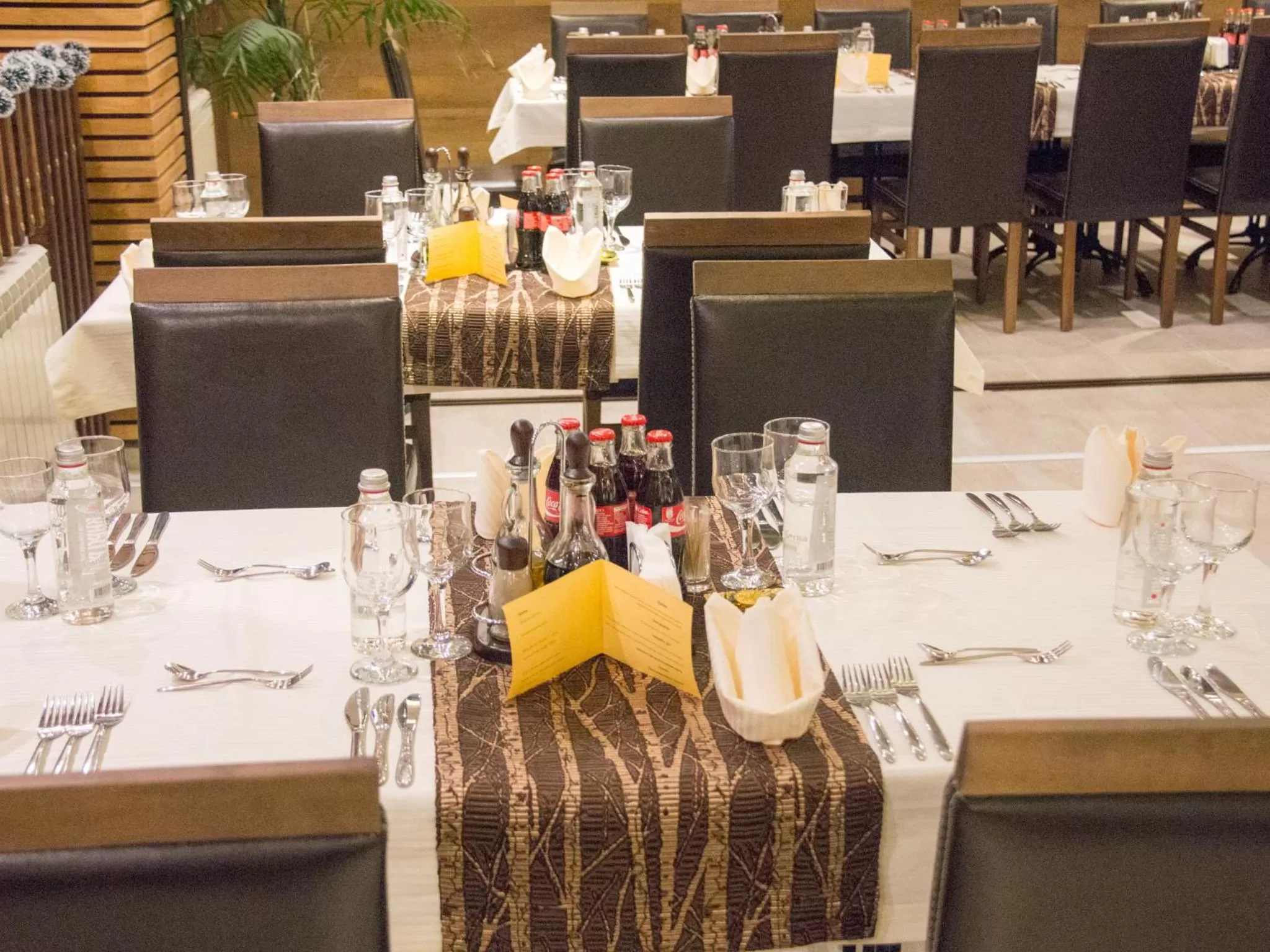 Drinks in Park Hotel Asenevtsi