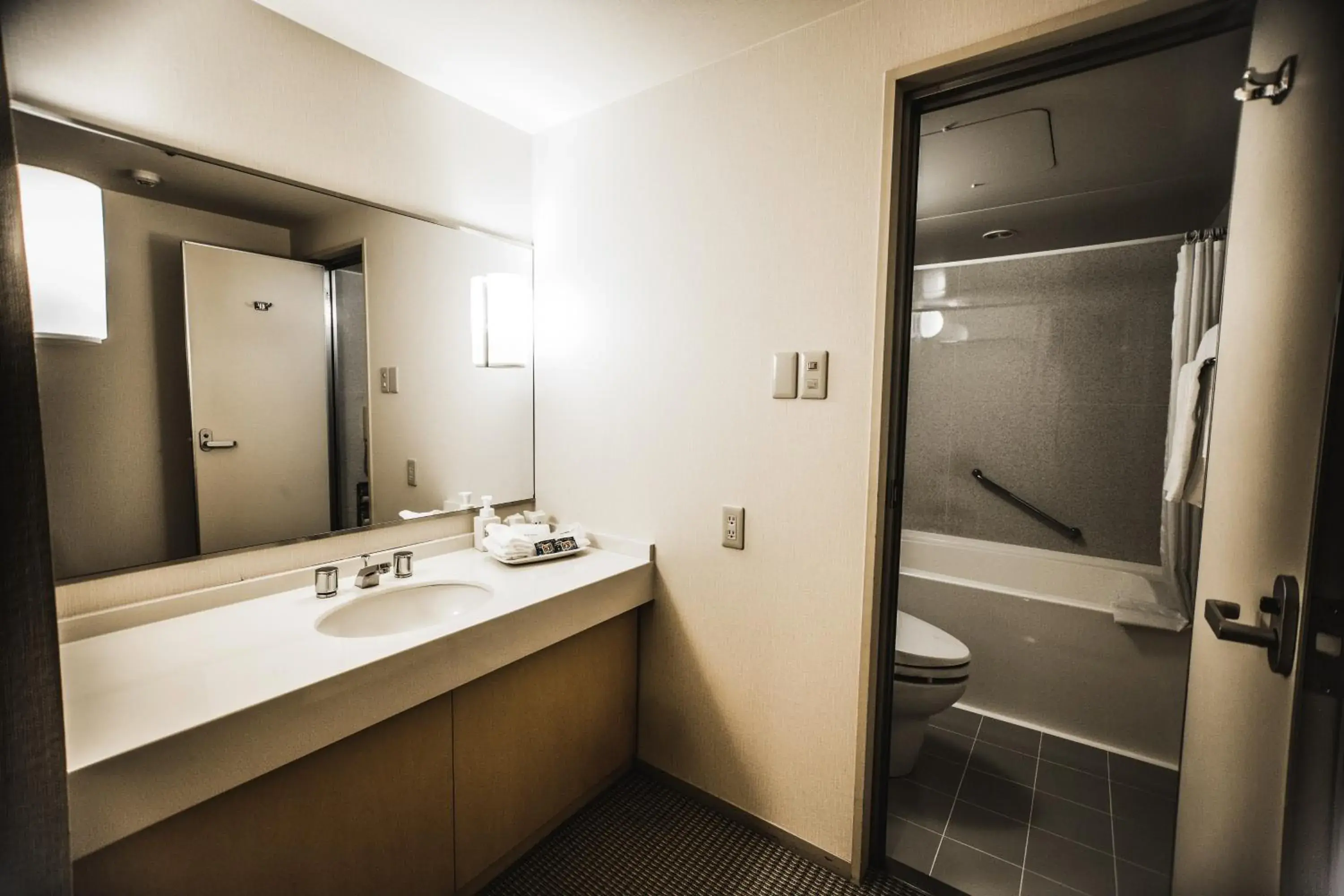 Shower, Bathroom in Oarks Canal Park Hotel Toyama