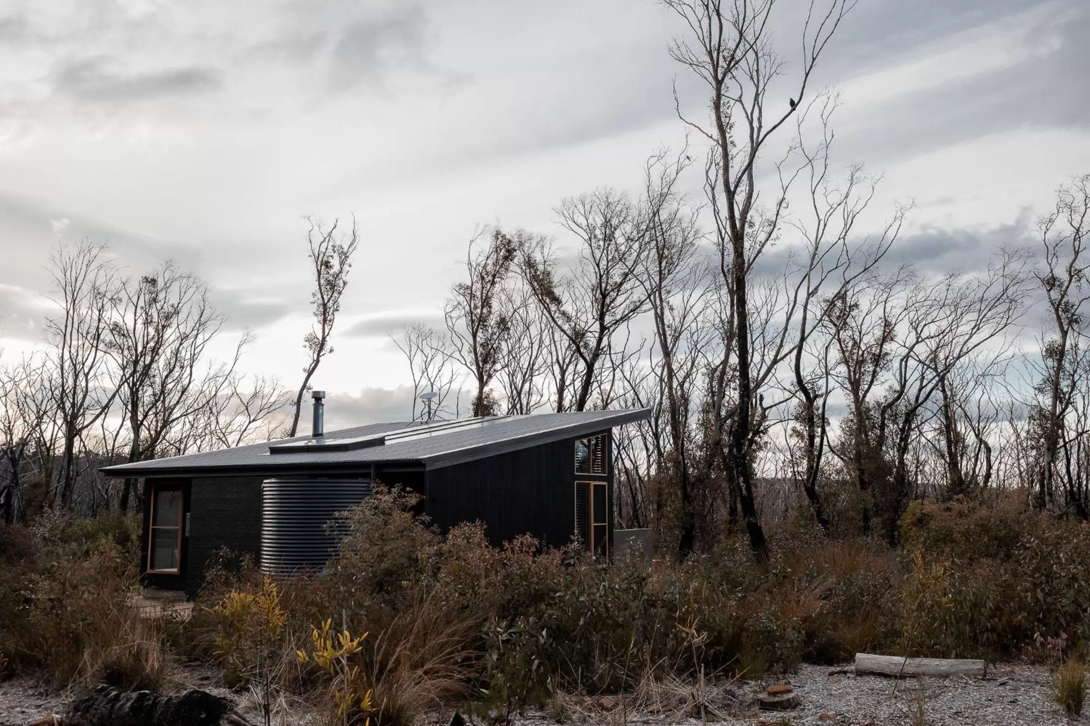 View (from property/room) in Chalets at Blackheath