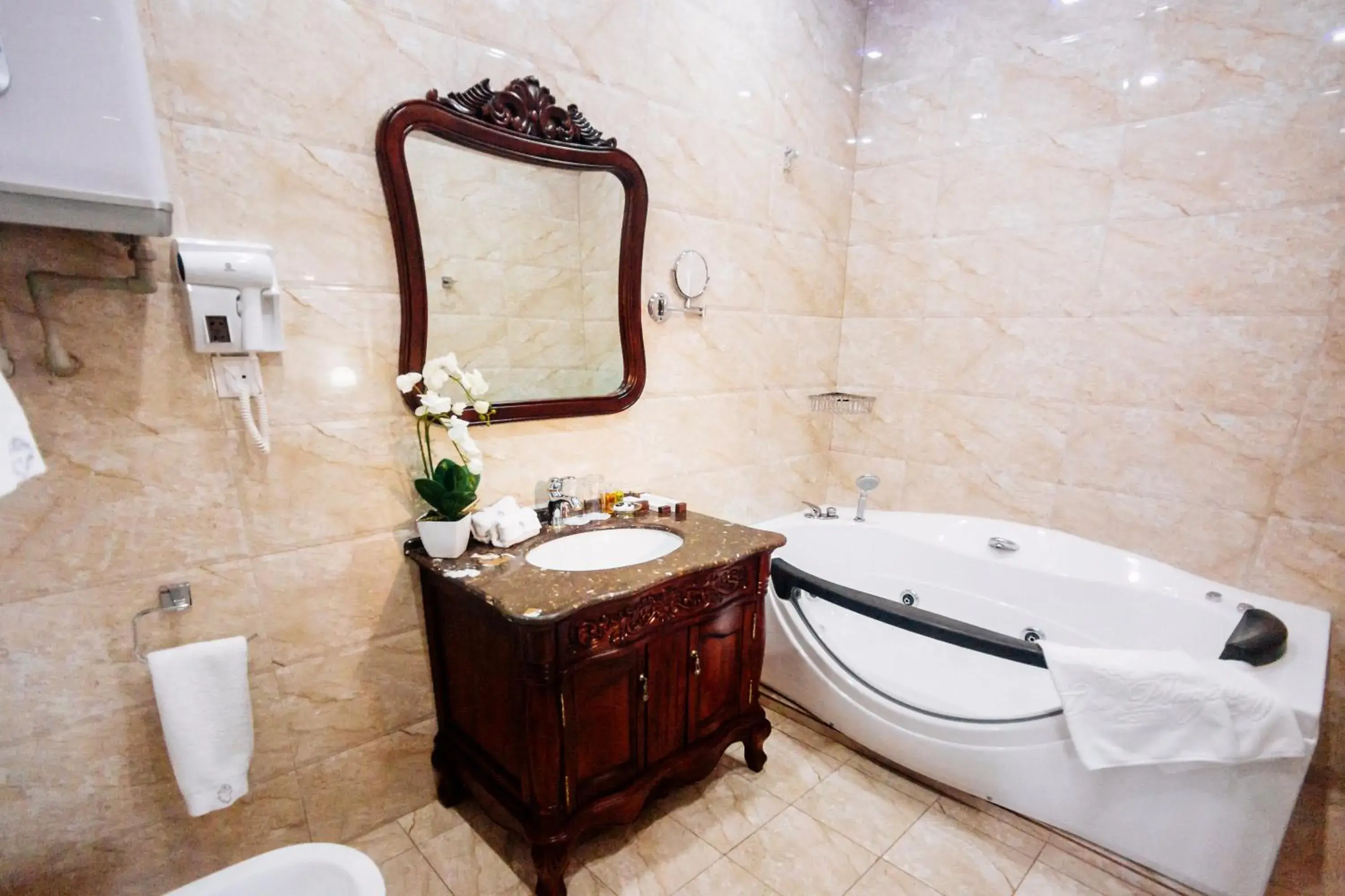 Decorative detail, Bathroom in Plaza Hotel Bishkek