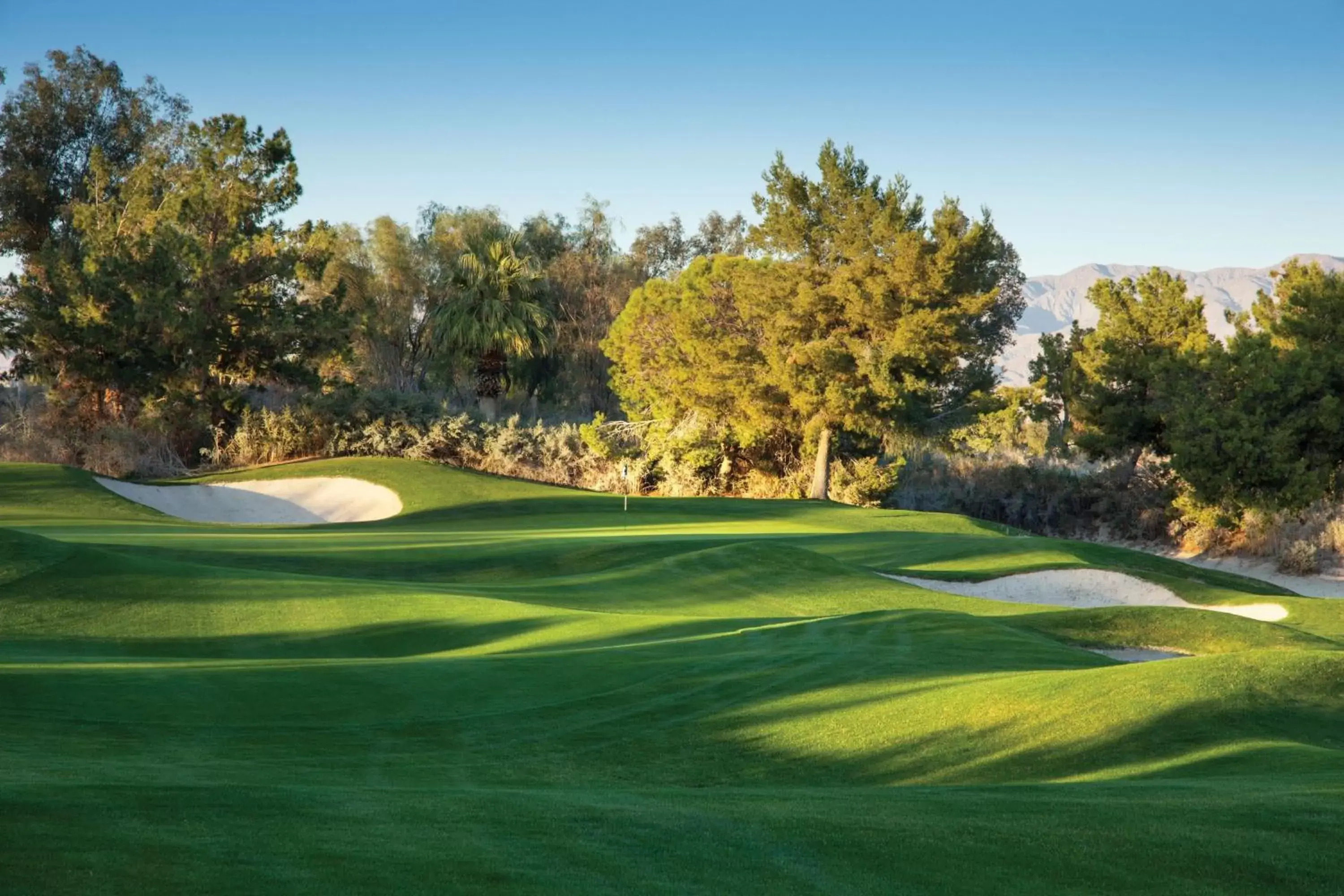 Golfcourse, Golf in The Westin Desert Willow Villas, Palm Desert