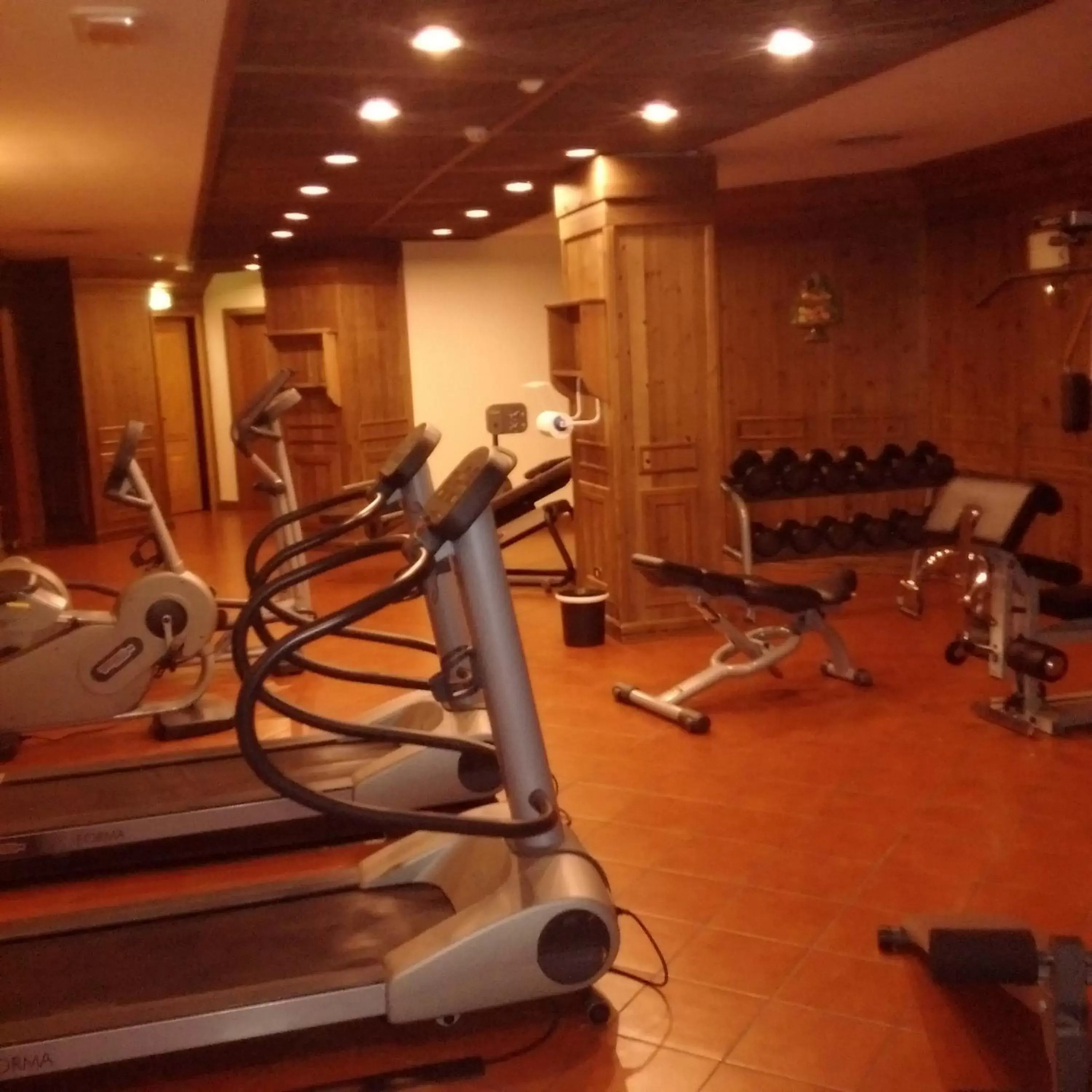 Fitness centre/facilities, Fitness Center/Facilities in Hotel Alaska Cortina