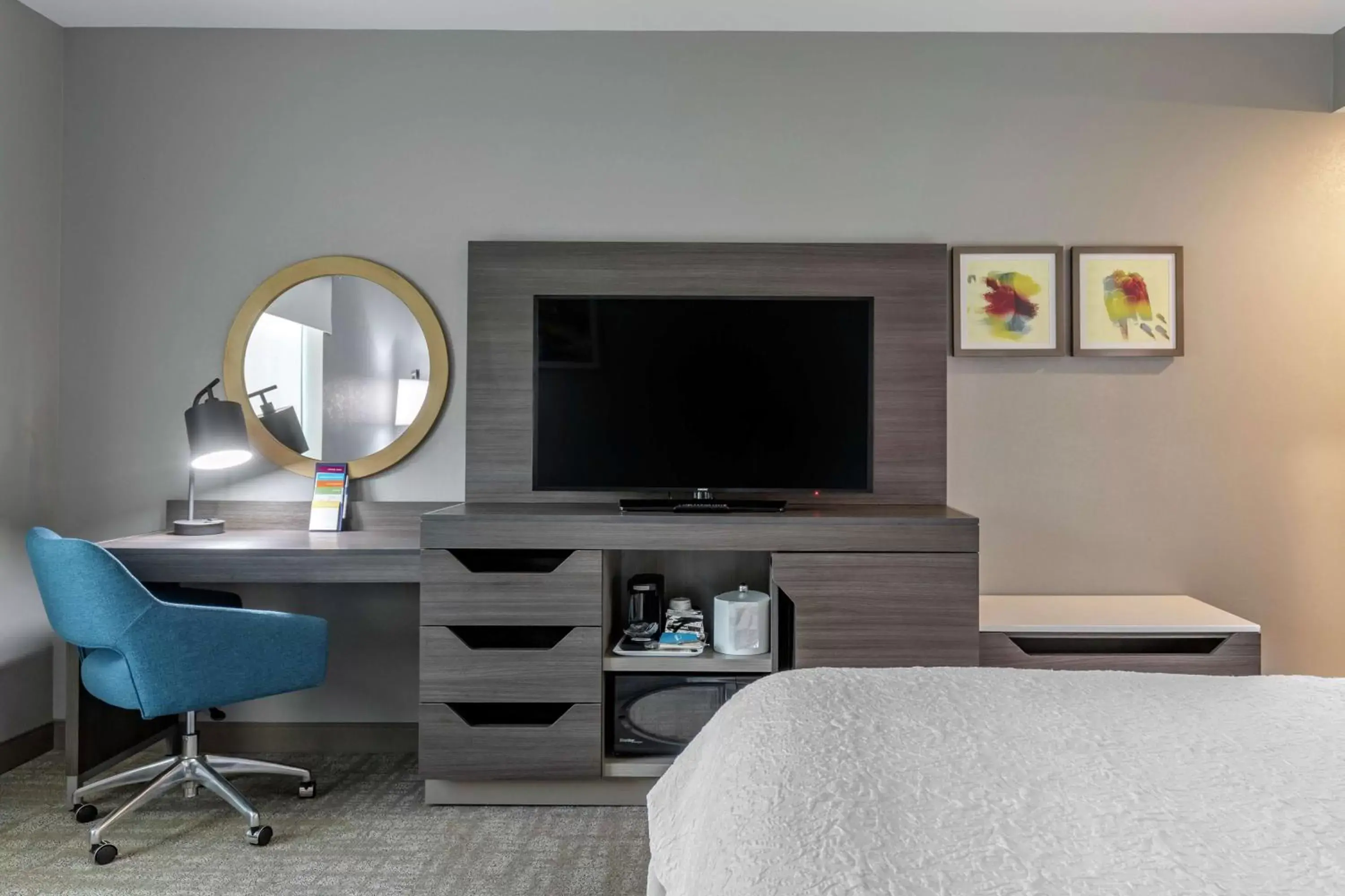 Bedroom, TV/Entertainment Center in Hampton Inn By Hilton Camden, Sc