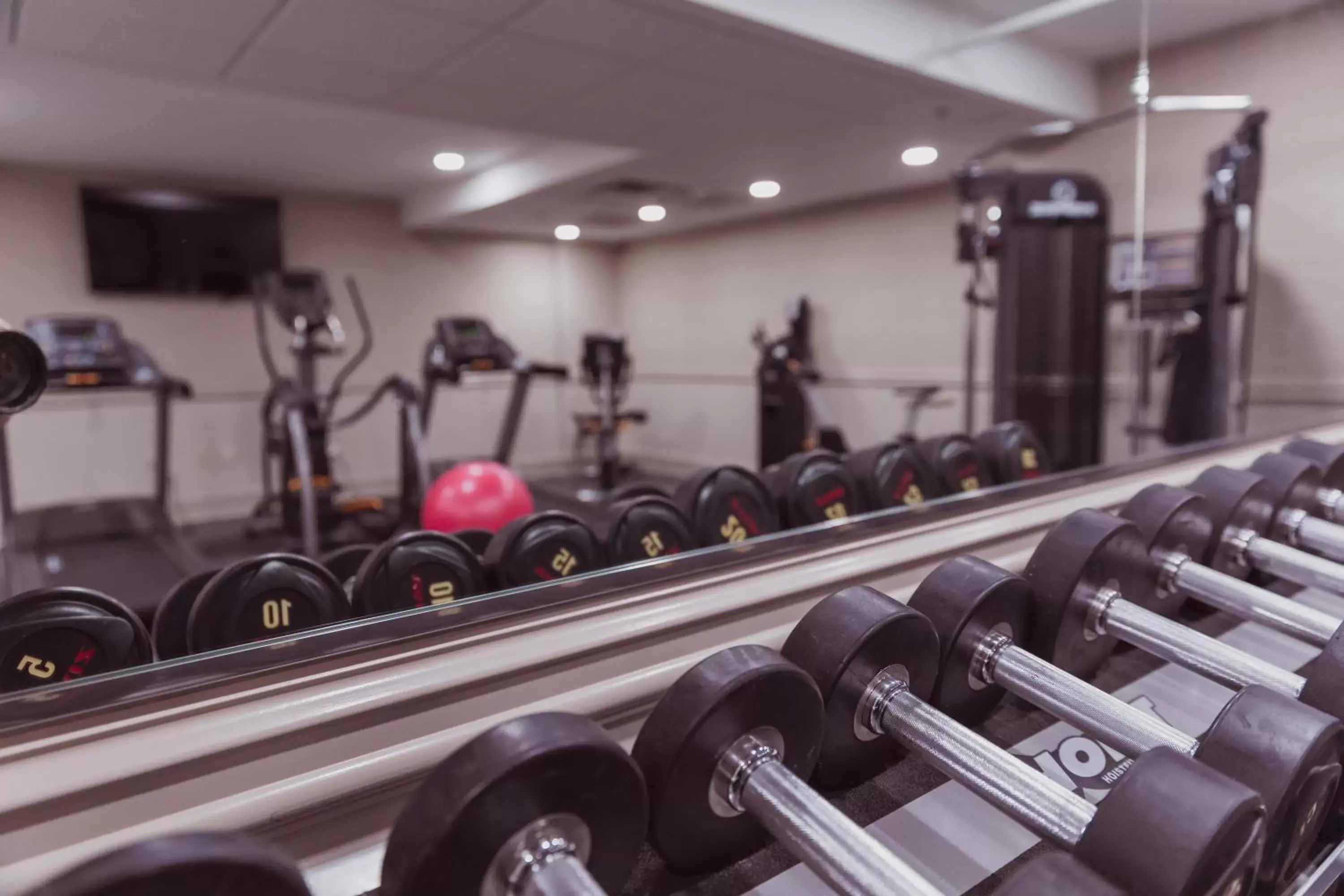 Fitness centre/facilities, Fitness Center/Facilities in The Parkview Hotel