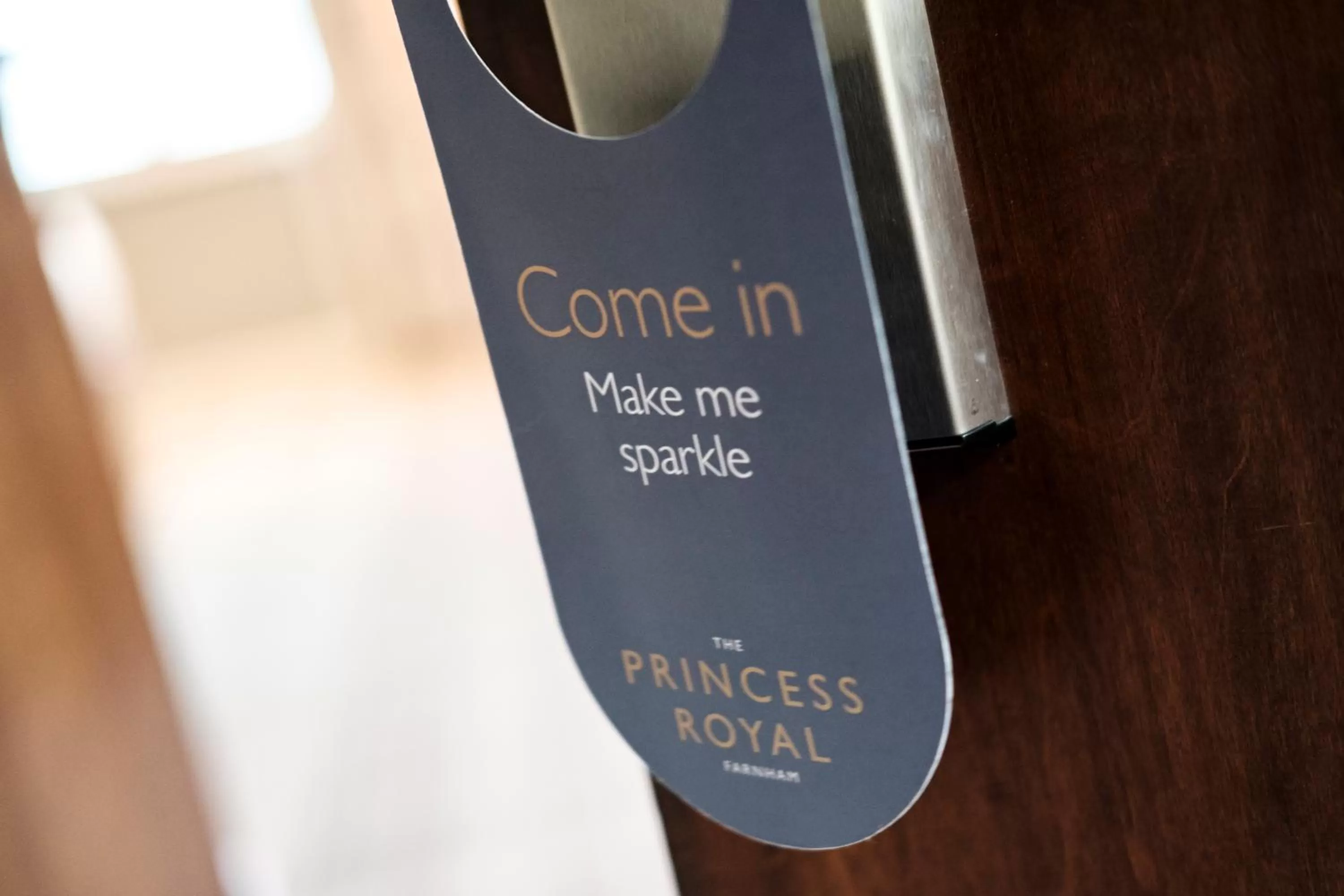 Logo/Certificate/Sign in The Princess Royal