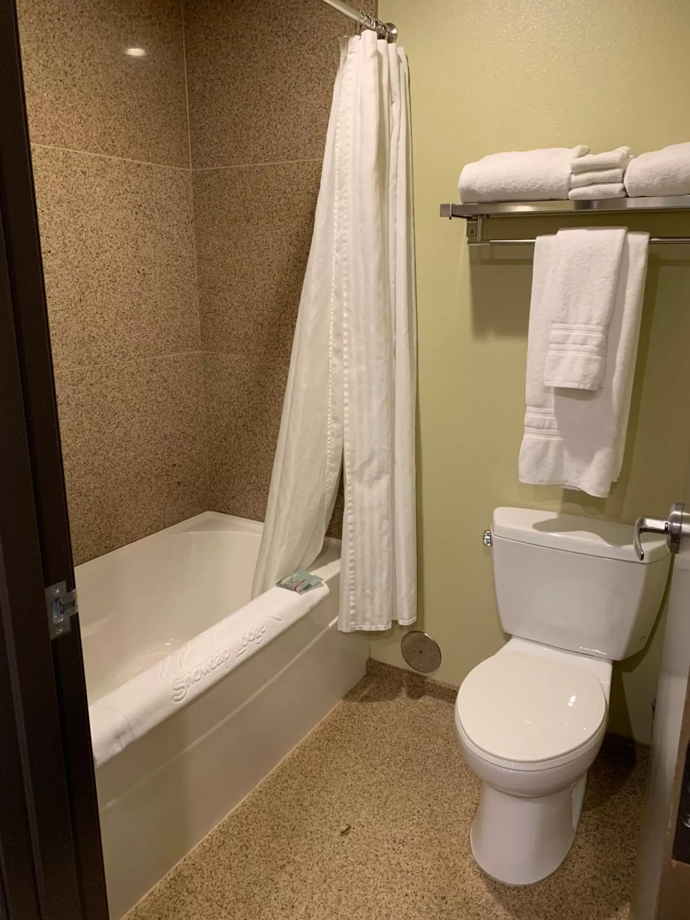 Bathroom in Best Western Snowcap Lodge