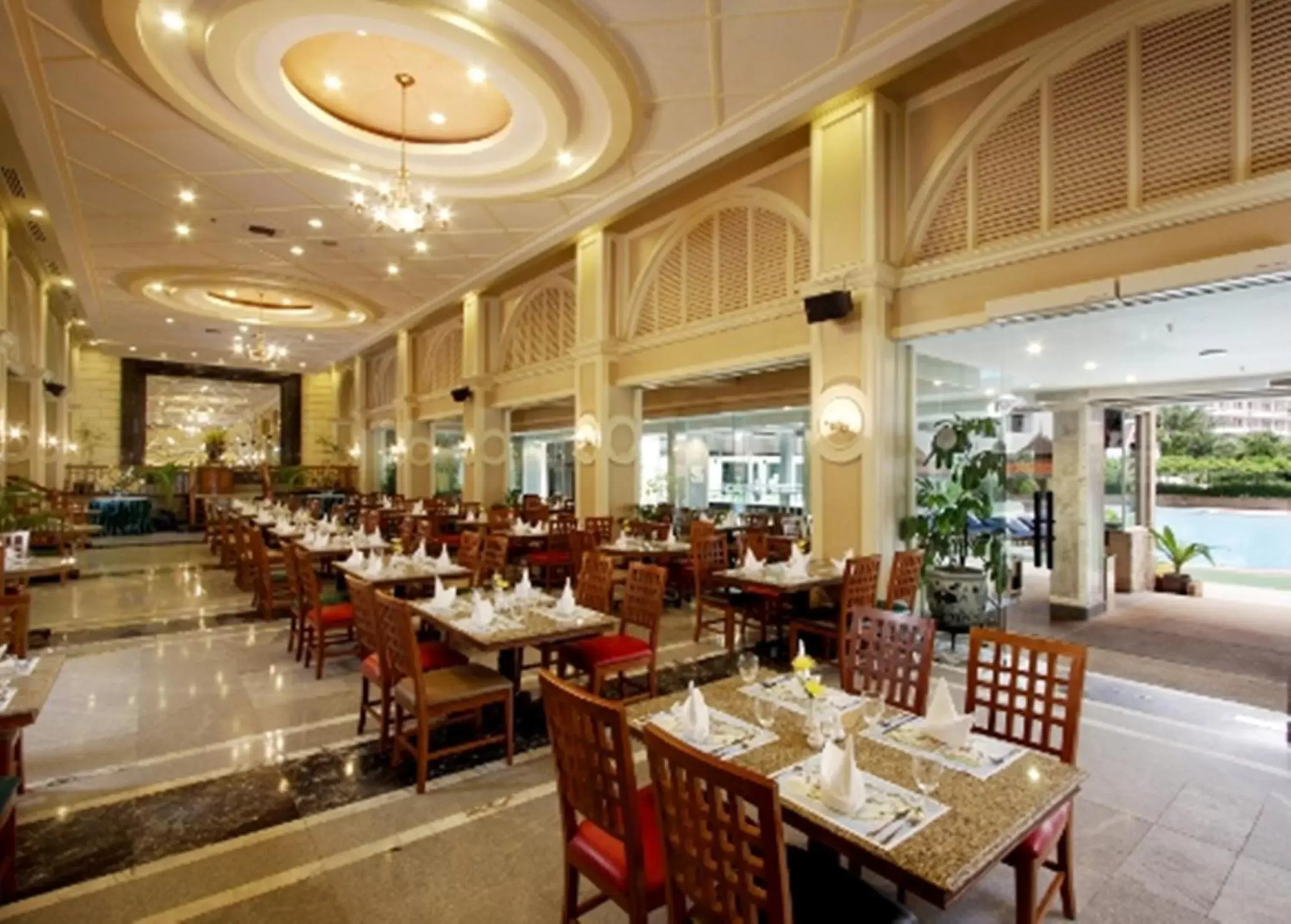 Restaurant/places to eat in Patong Resort Hotel - SHA Extra Plus Restaurant/places to eat in Patong Resort Hotel - SHA Extra Plus