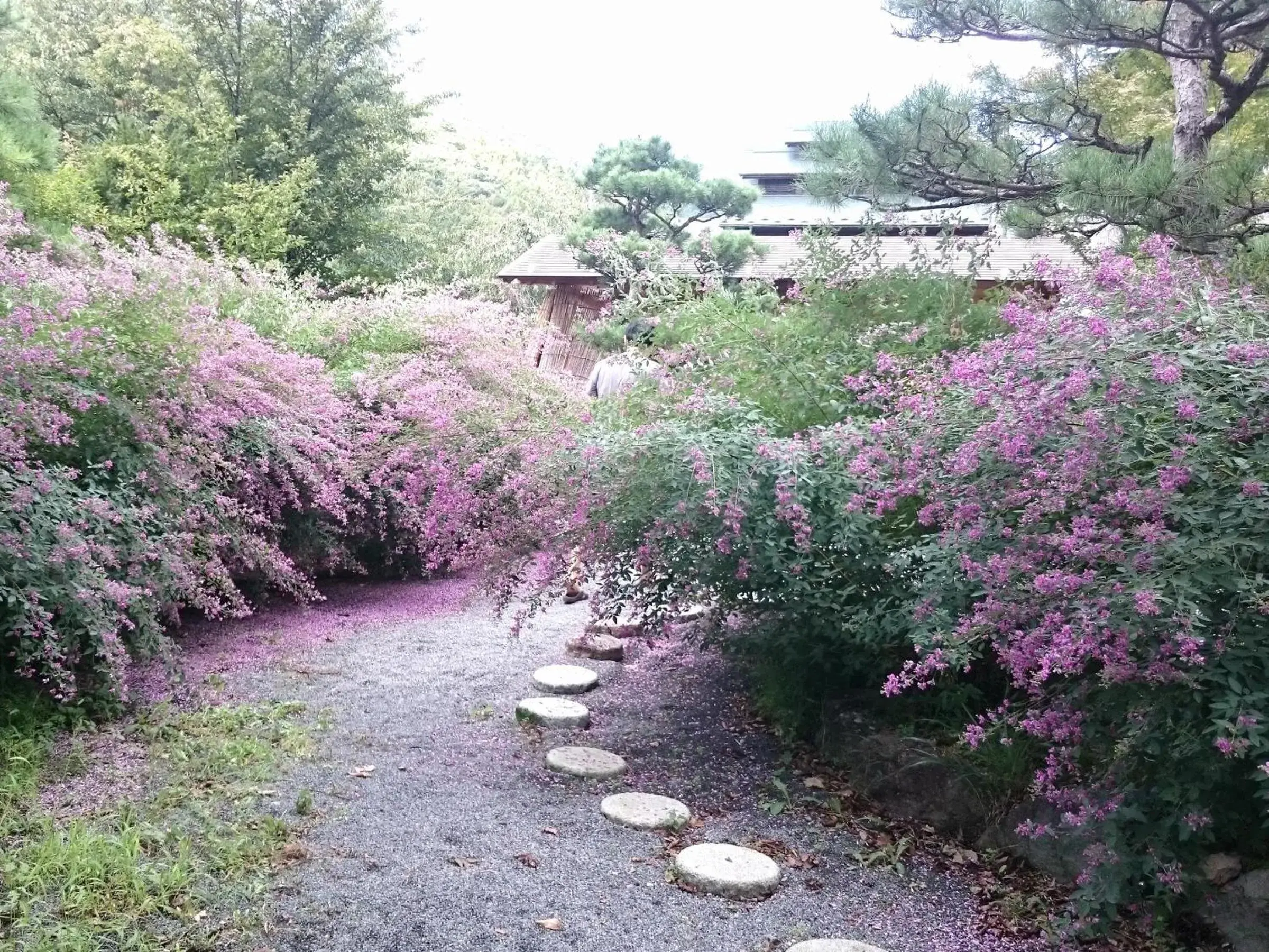 Ryokan Warabino