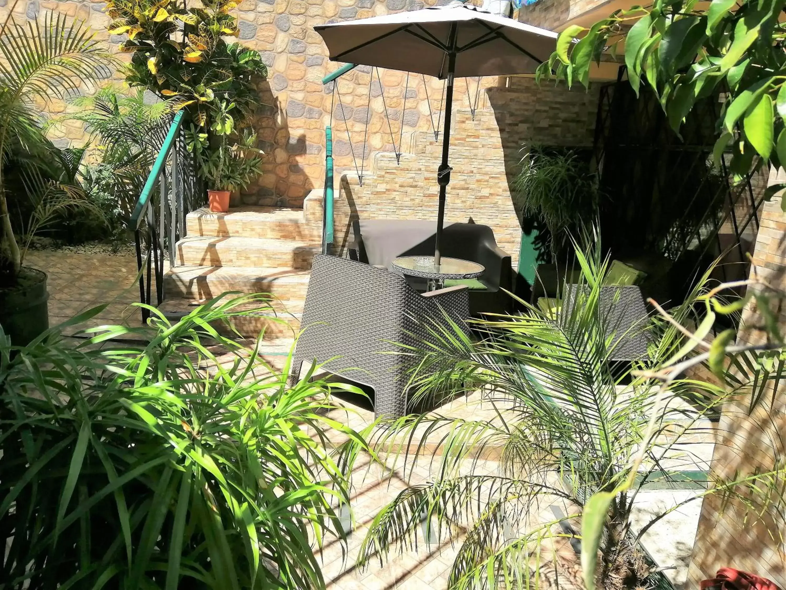 Patio in Casa Leon Guesthouse