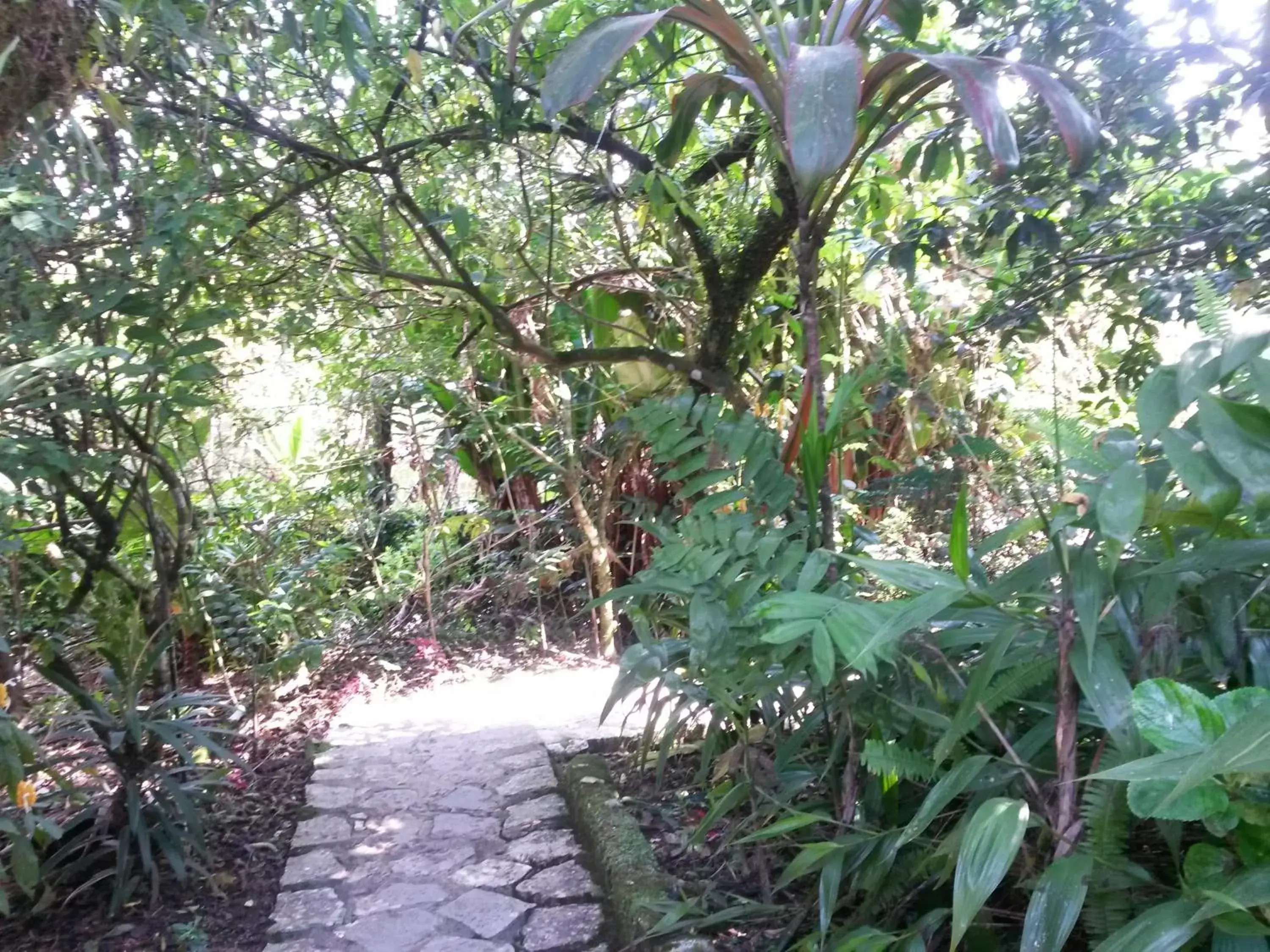 Garden in Hotel Taselotzin