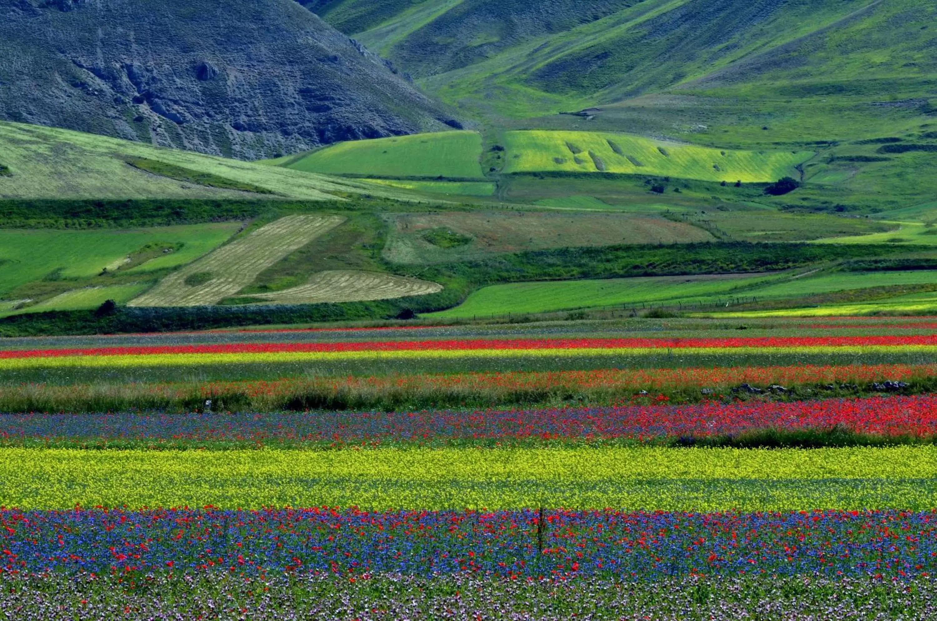 Spring, Natural Landscape in Hotel Clarici