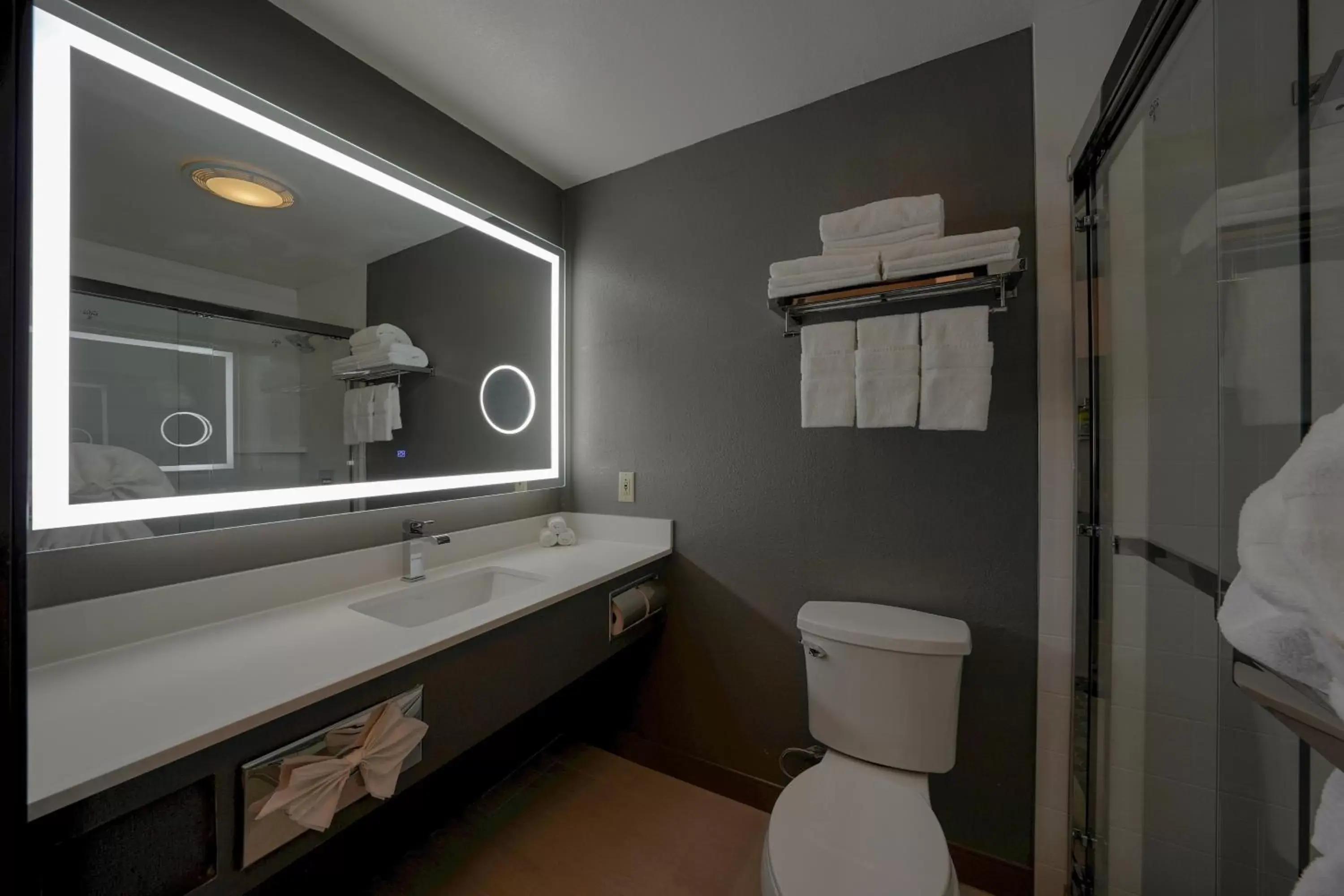 Bathroom in Holiday Inn Express Hotel & Suites Santa Clara - Silicon Valley, an IHG Hotel