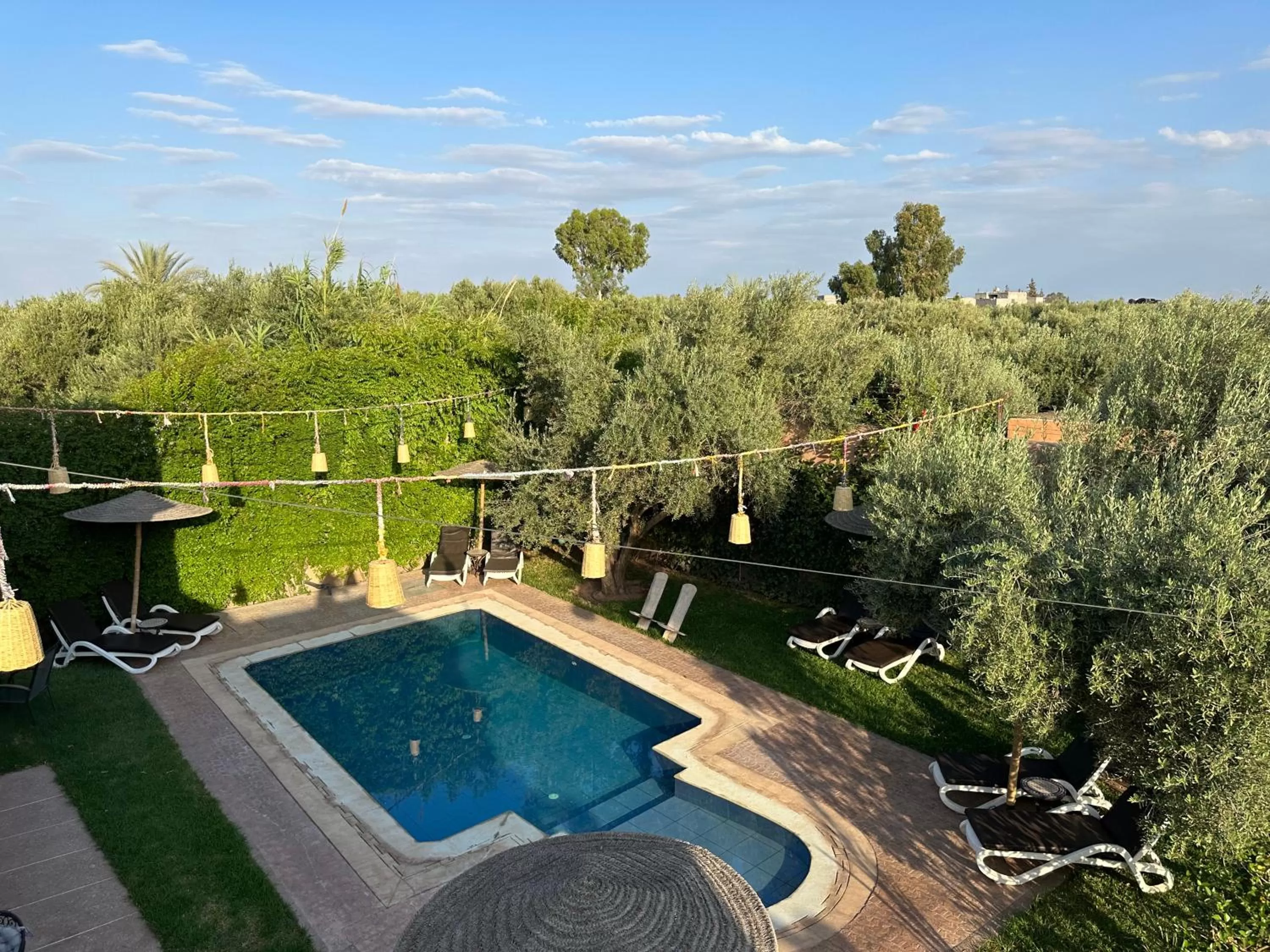 Natural landscape, Pool View in Oasis Merasi Marrakech