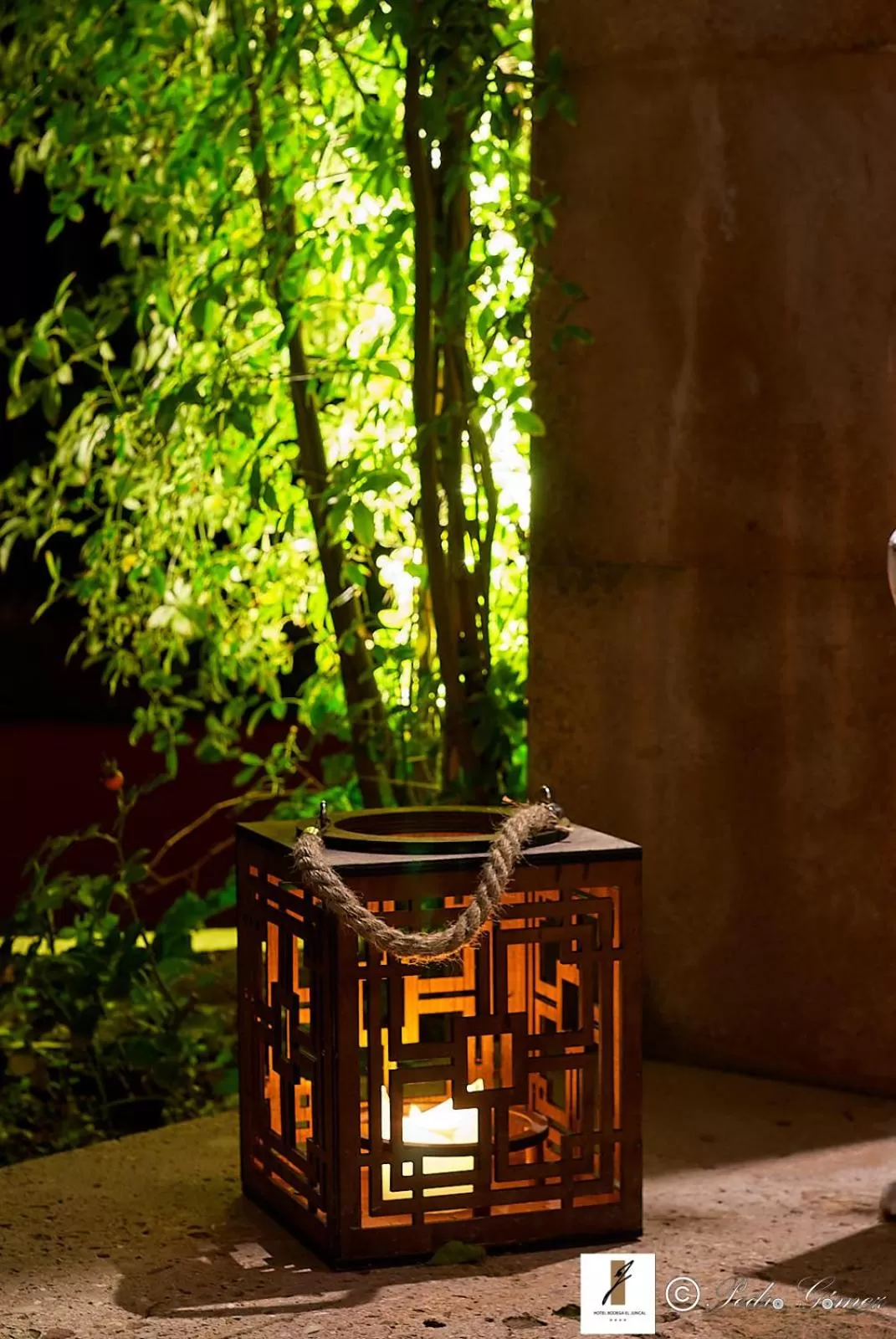 Patio in Hotel Bodega El Juncal