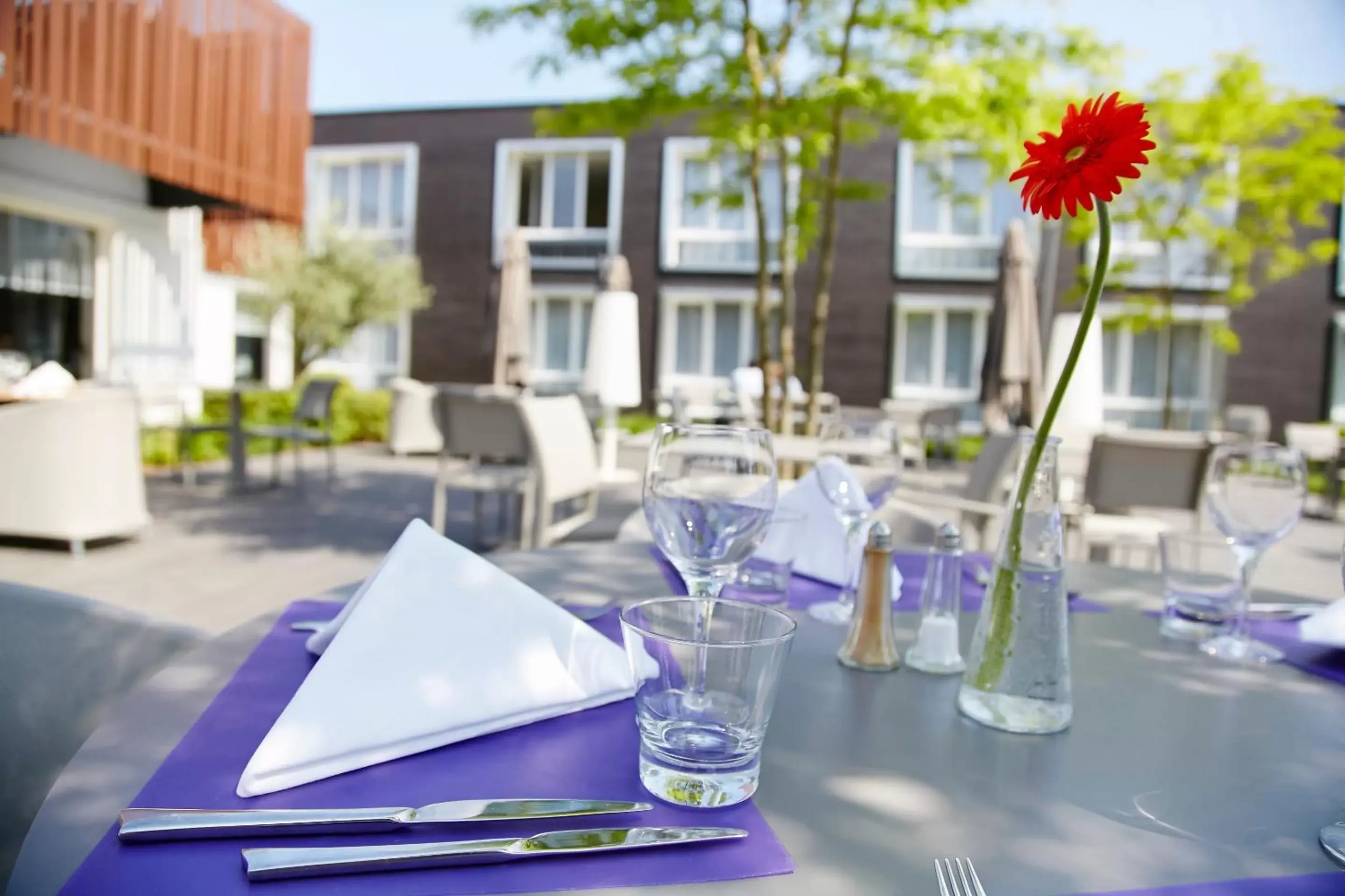 Garden, Restaurant/Places to Eat in Novotel Lens Noyelles