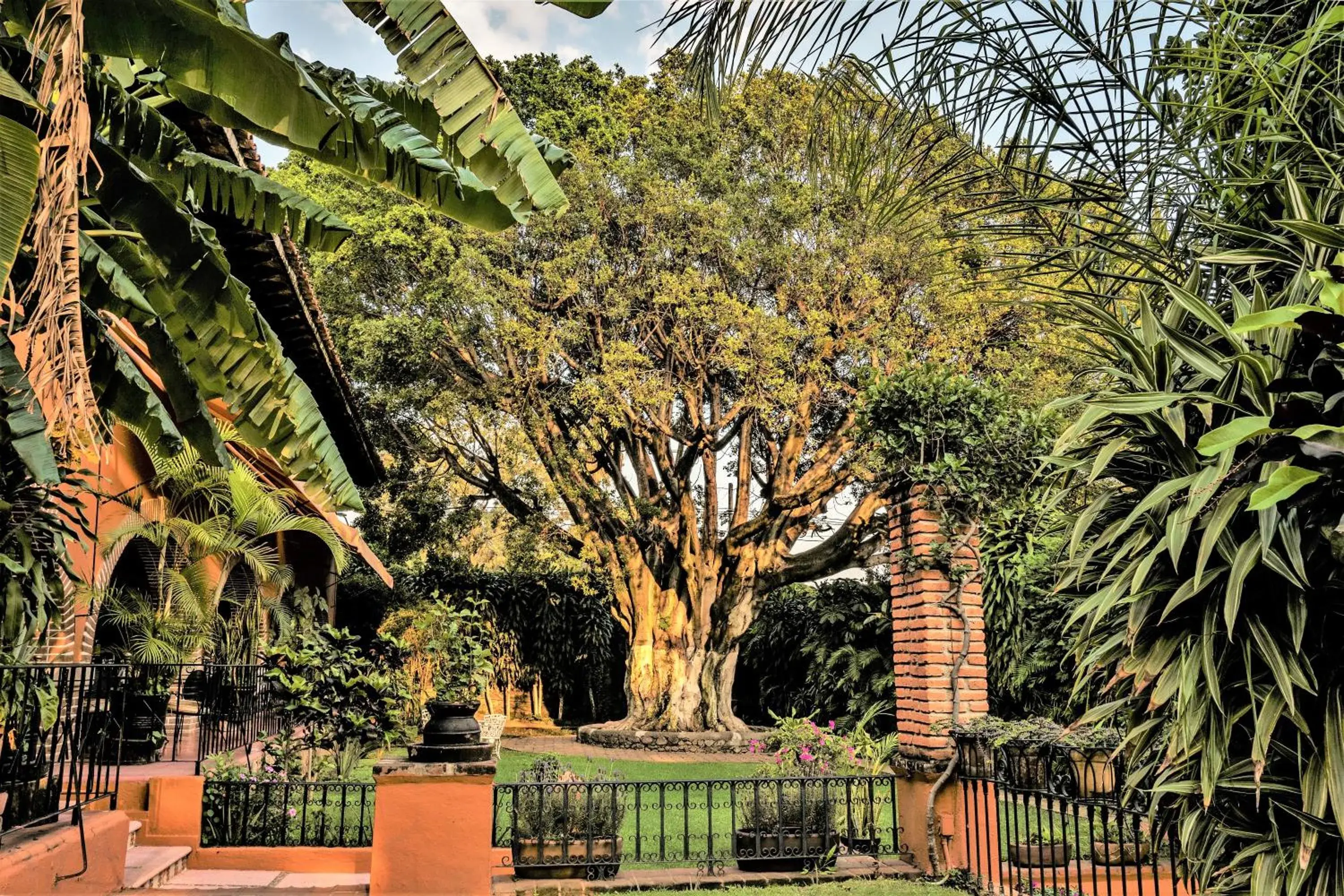 Garden in San Angelo