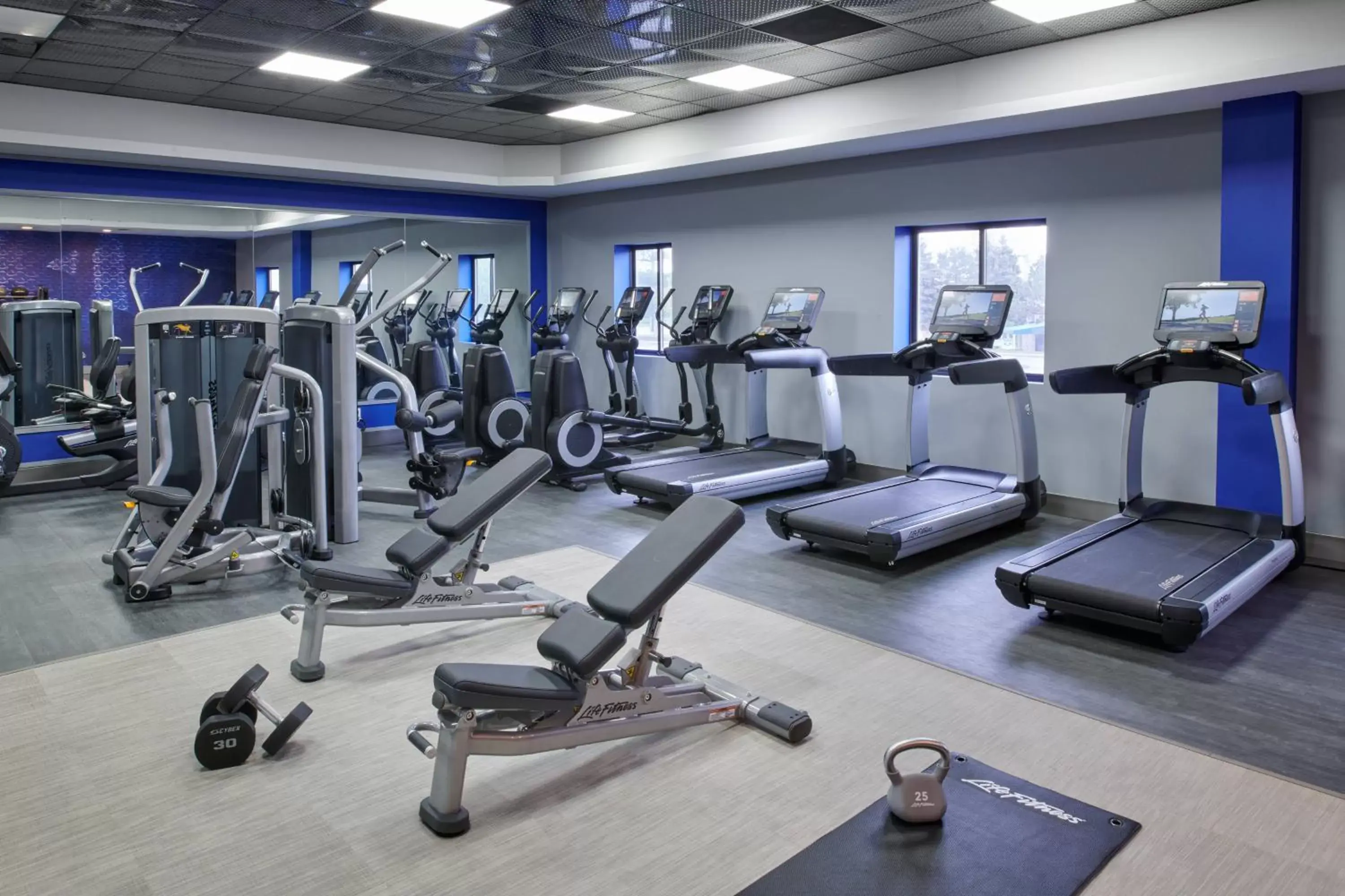 Fitness centre/facilities, Fitness Center/Facilities in Delta Hotels by Marriott Detroit Novi