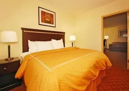 King Suite - Disability Access/Non-Smoking in Comfort Suites Salem-Roanoke I-81