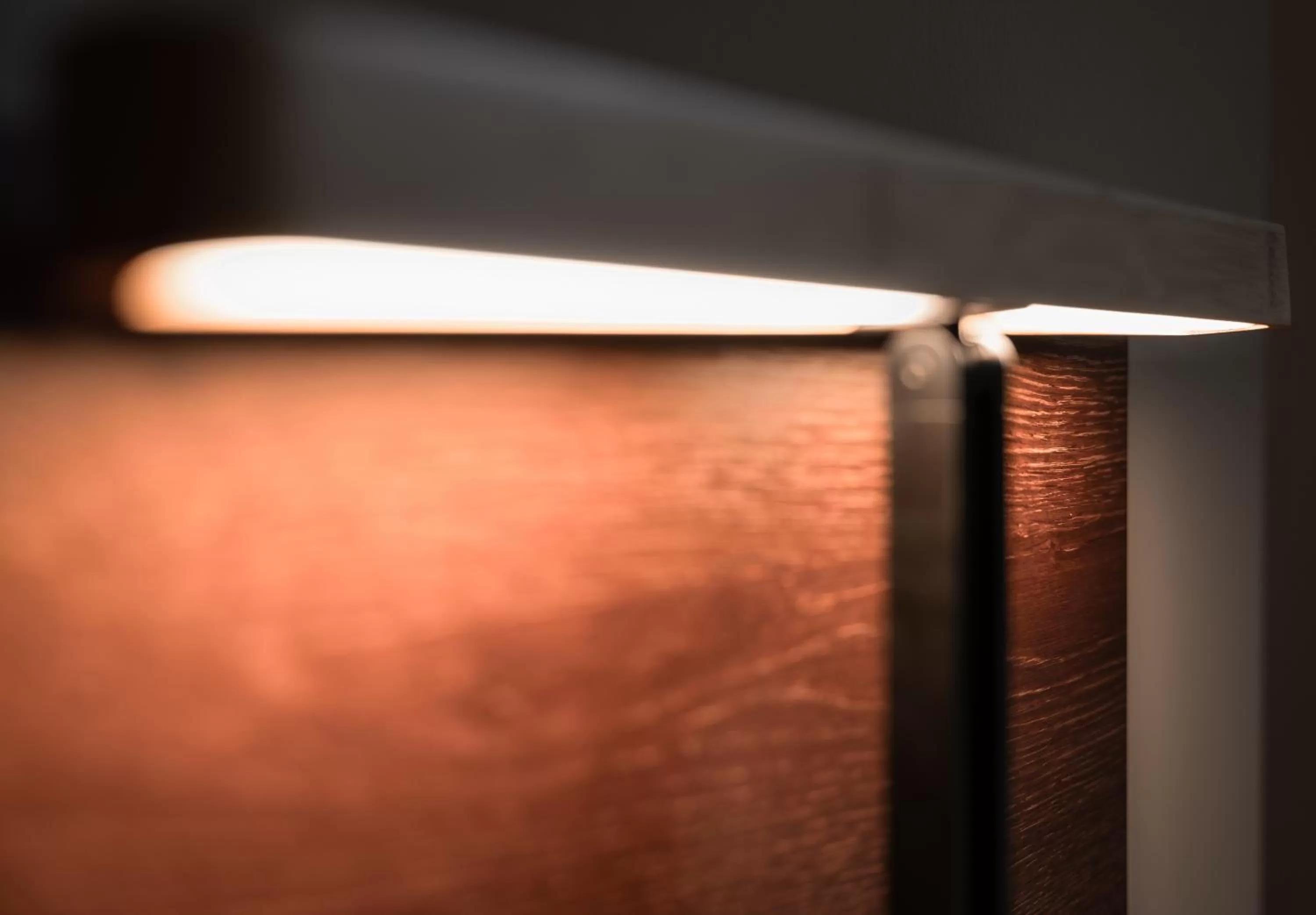 Decorative detail in Cavallestro Deluxe