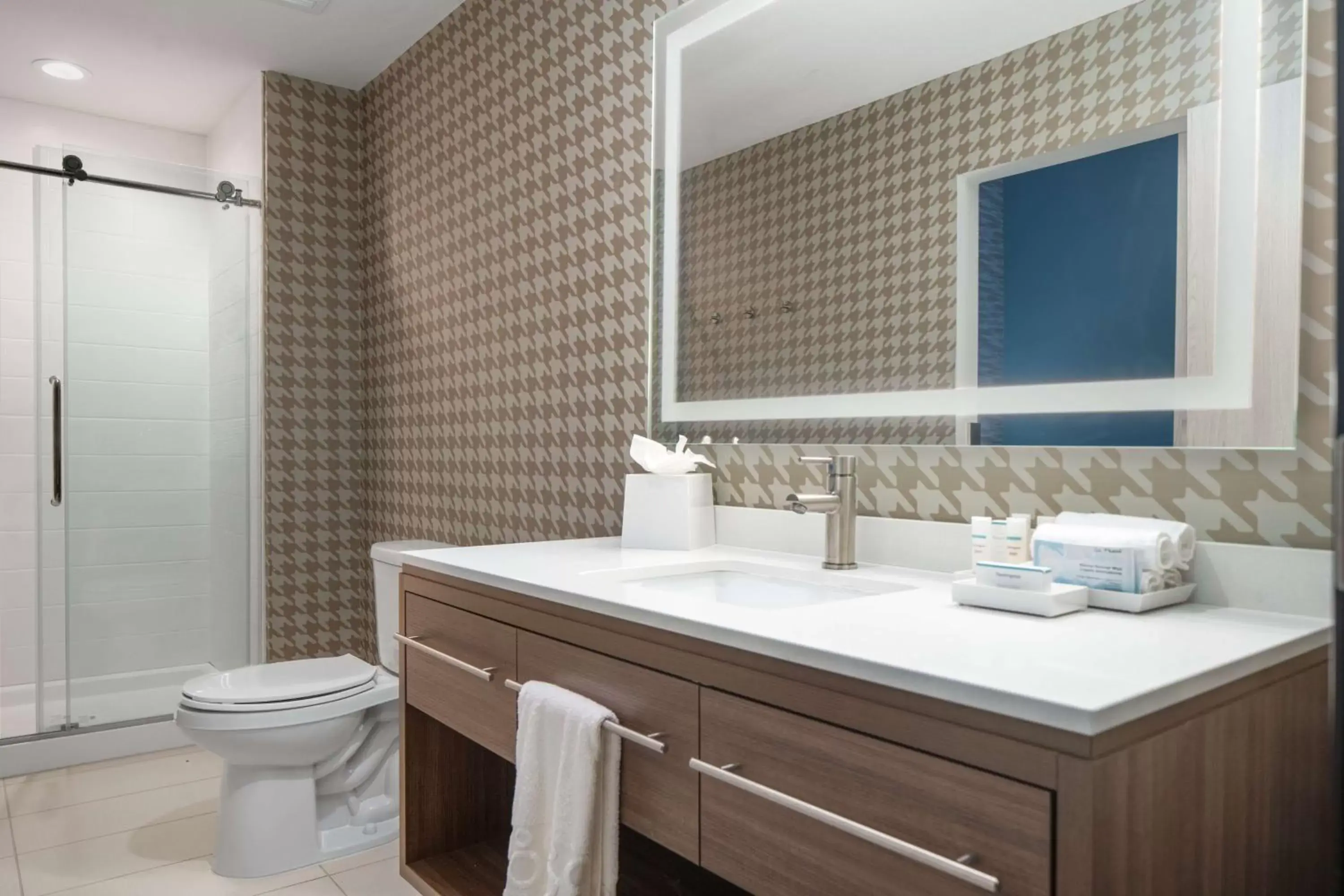 Bathroom in Home2 Suites By Hilton Rowlett Rockwall Marina