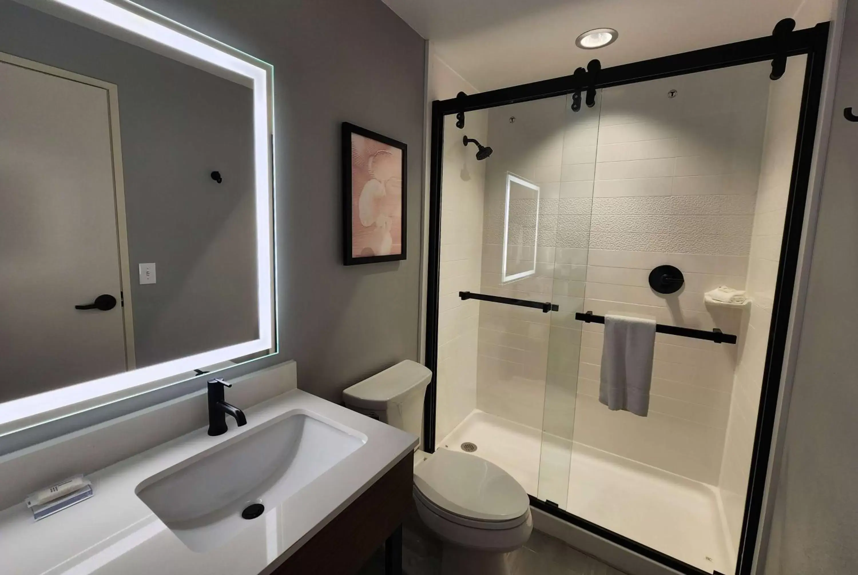 Shower, Bathroom in La Quinta Inn & Suites by Wyndham Del Rio