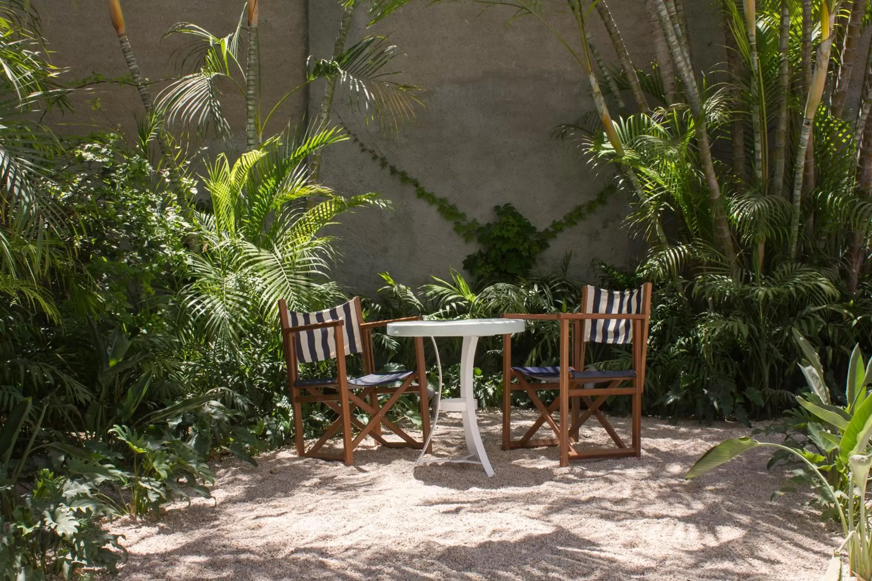 Garden in Baja Club Hotel, La Paz, Baja California Sur, a Member of Design Hotels