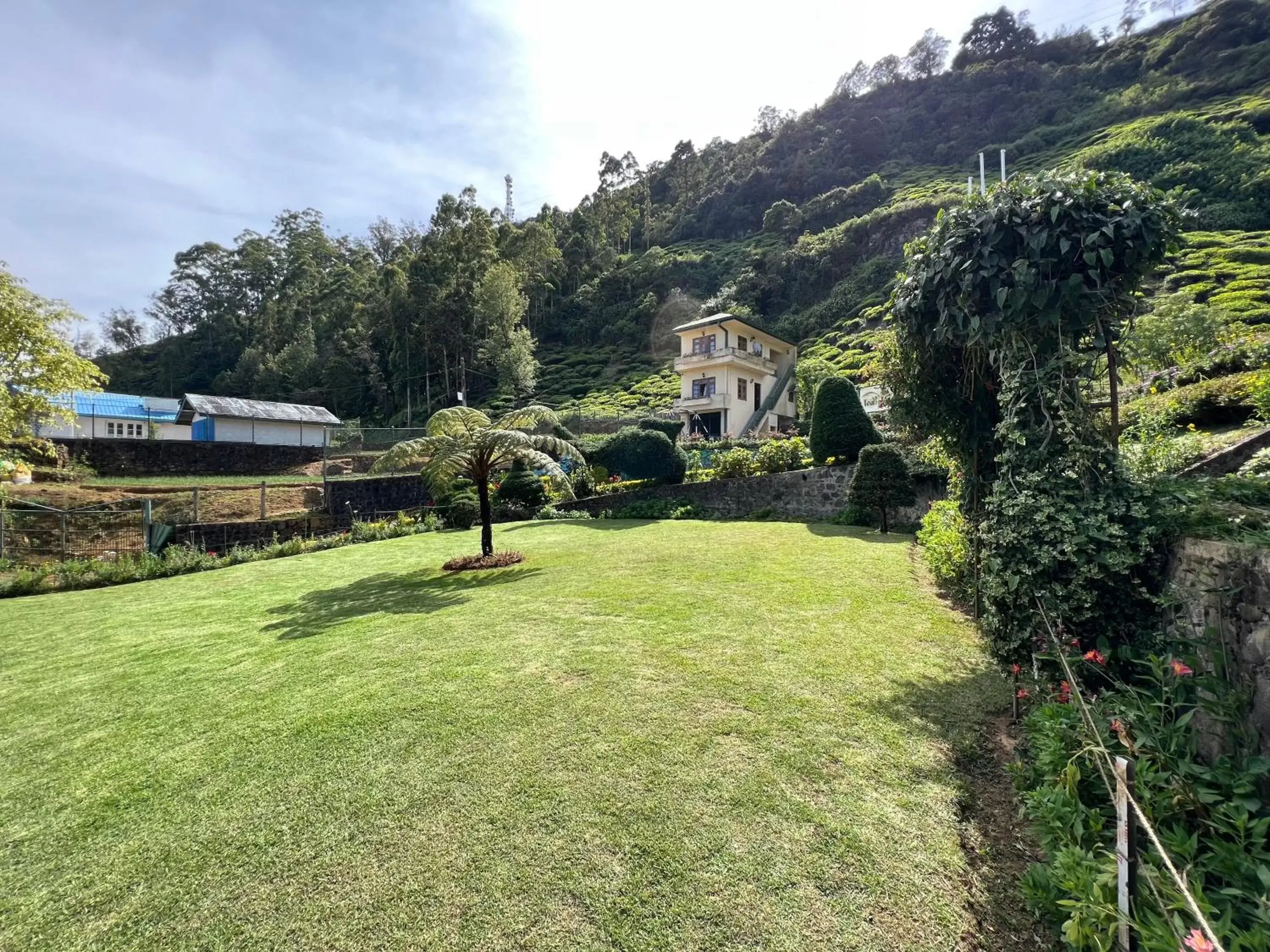 Garden in Tea Bush Hotel