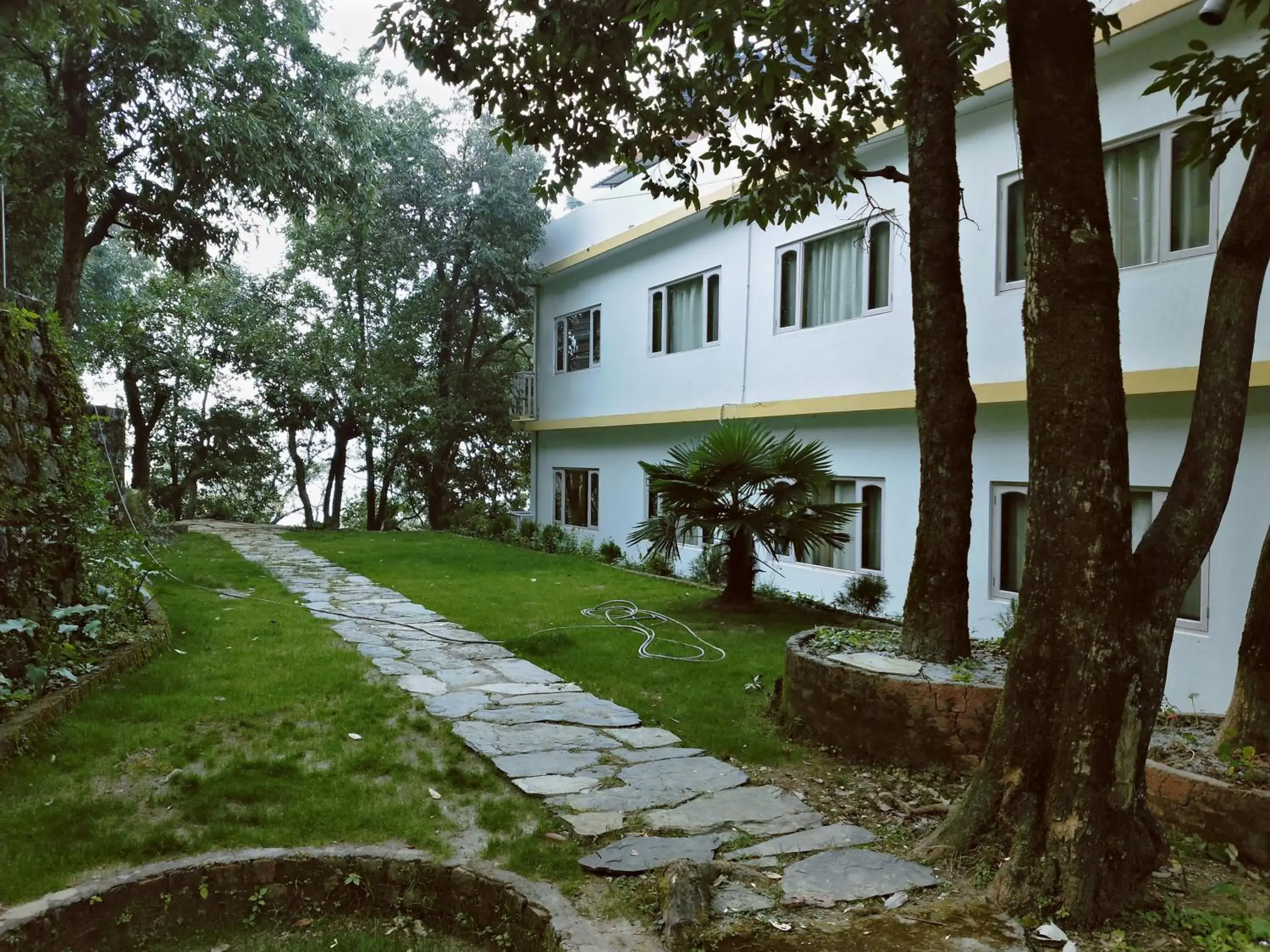 The Mountain Quail The Mountain Quail