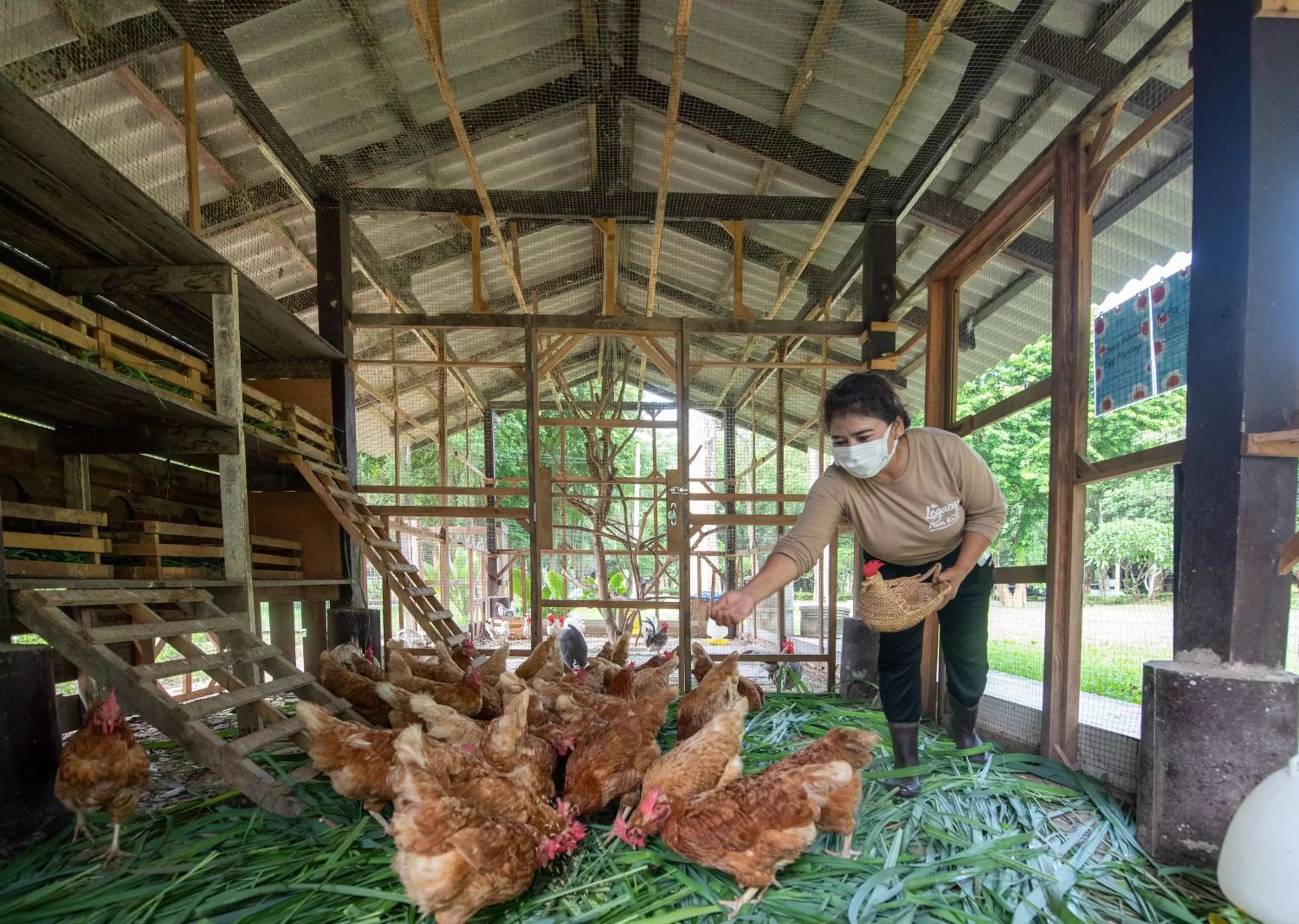 Activities in The Legacy River Kwai Resort