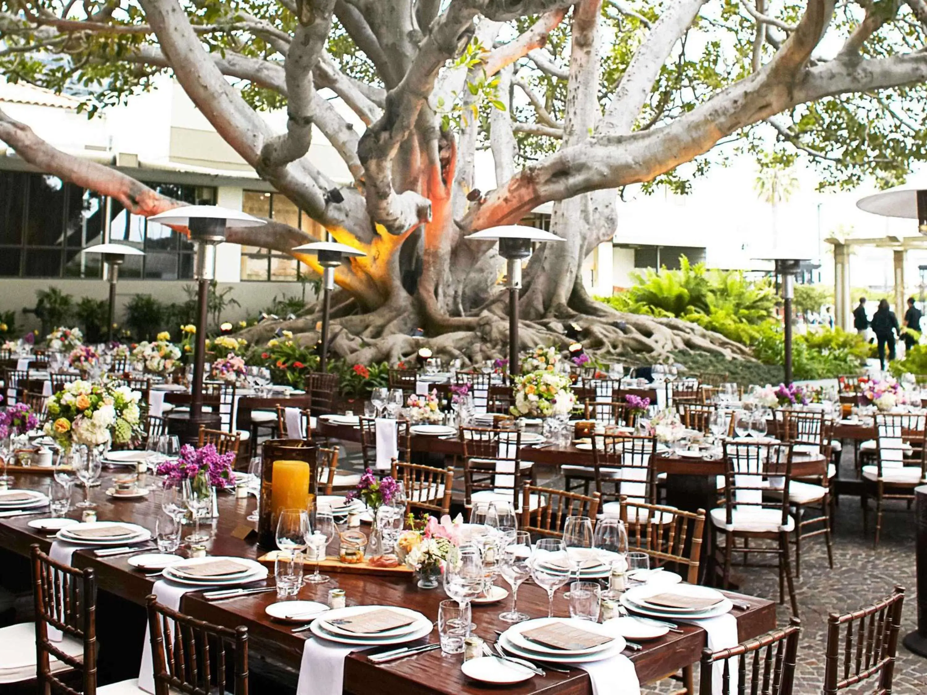 wedding, Restaurant/Places to Eat in Fairmont Miramar Hotel & Bungalows