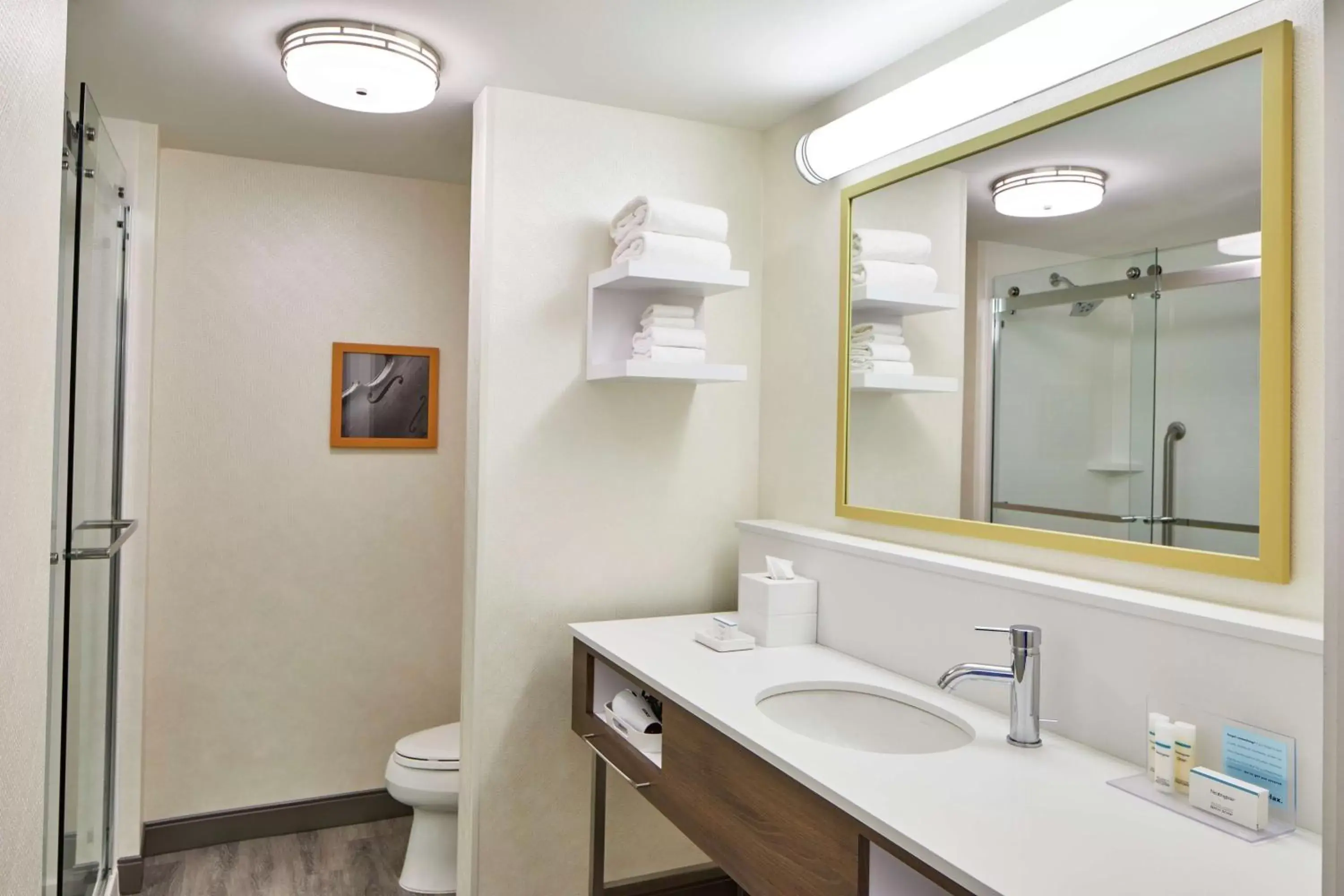 Bathroom in Hampton Inn & Suites Atlanta-Midtown, Ga