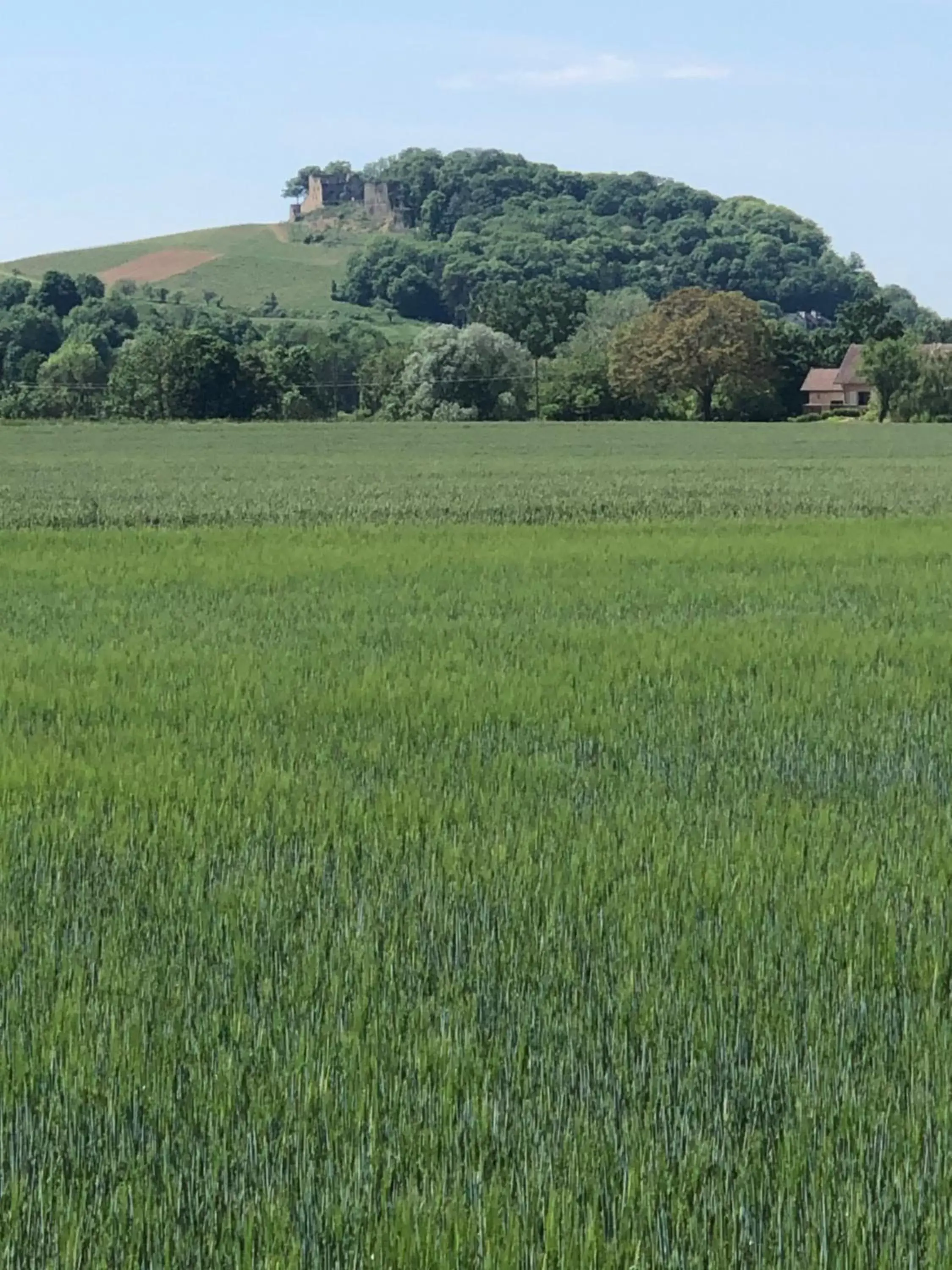 Natural Landscape in Au lavoir du Serein "Les Écureuils"