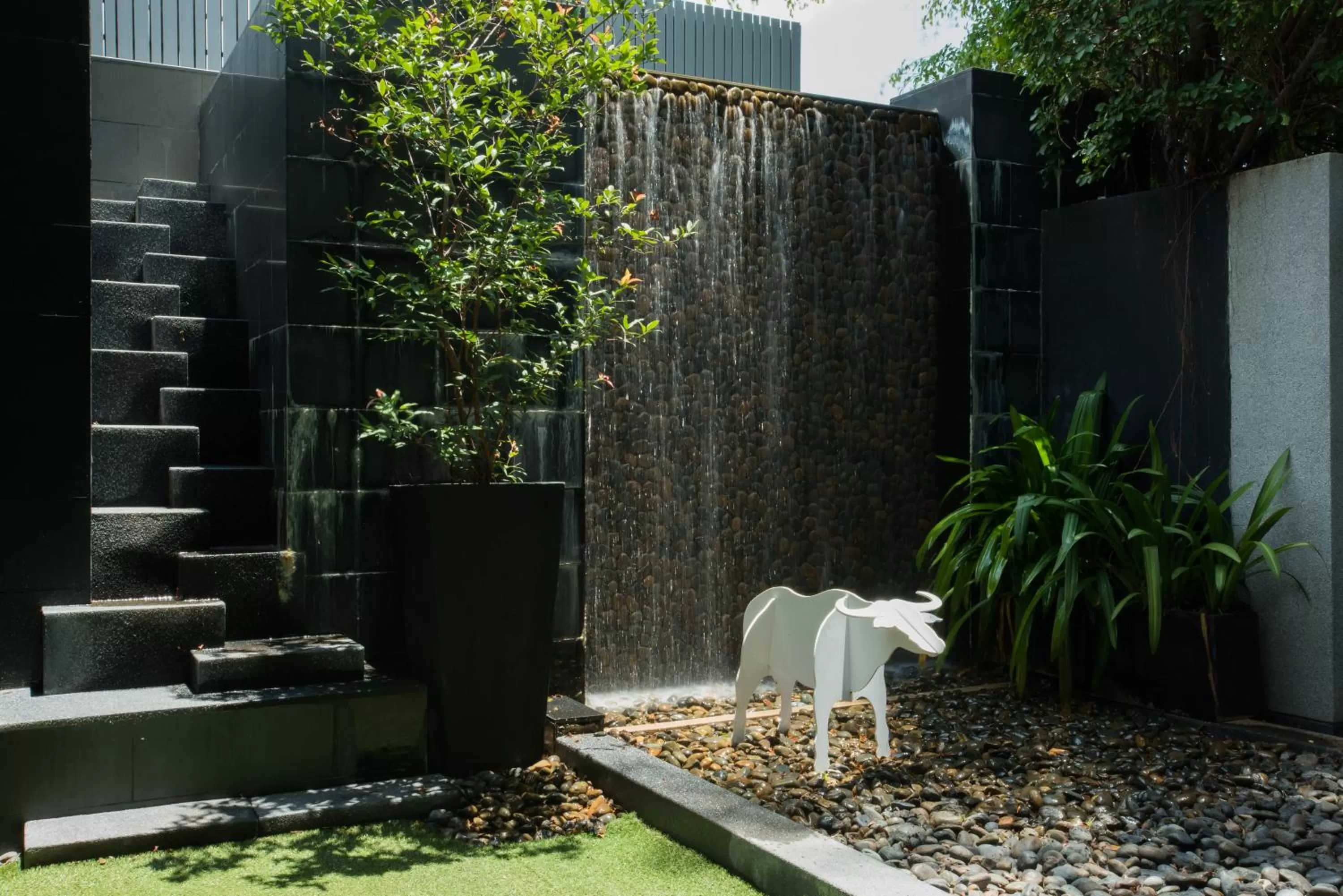 Garden in Cher Resort