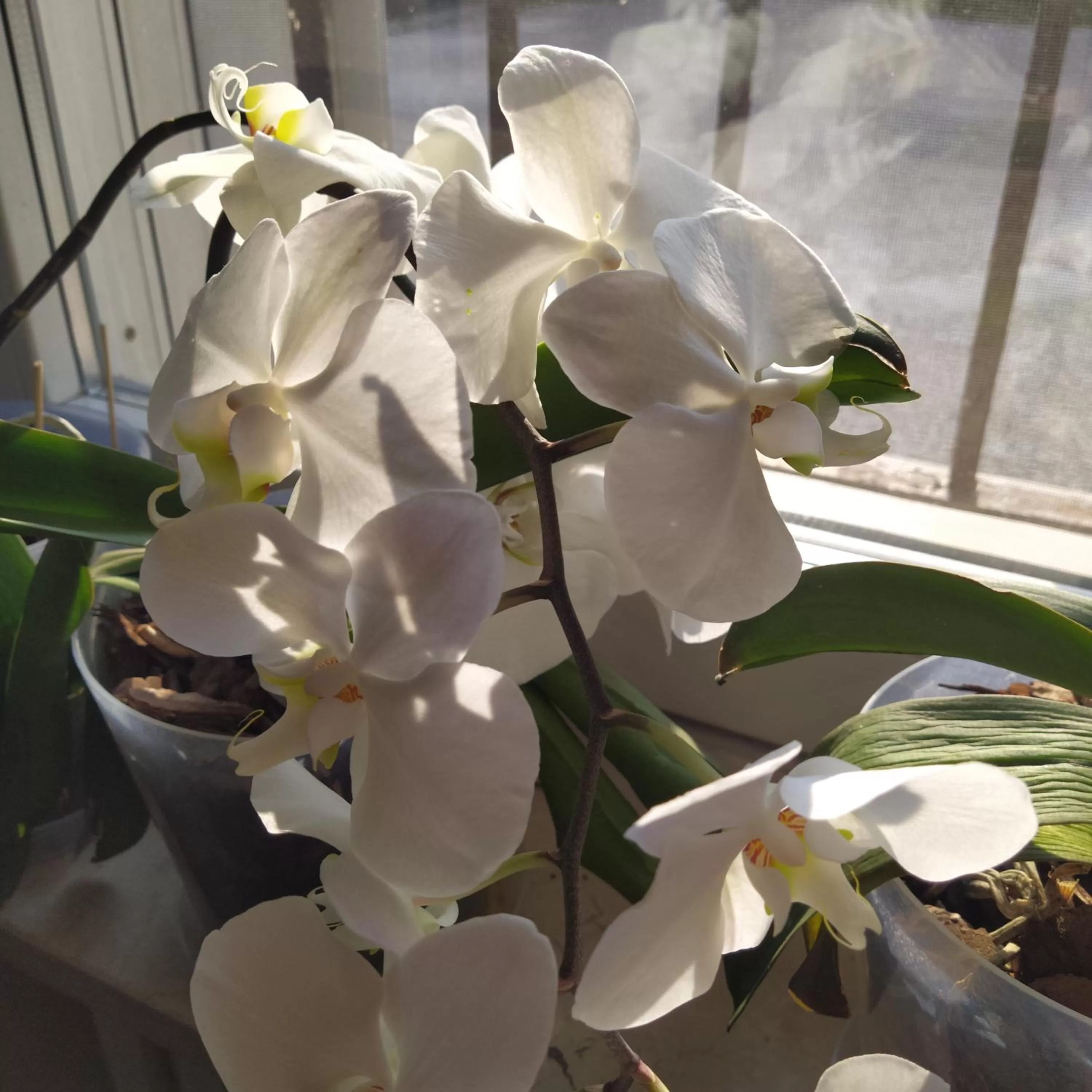 Breakfast in Corte Posta B&B