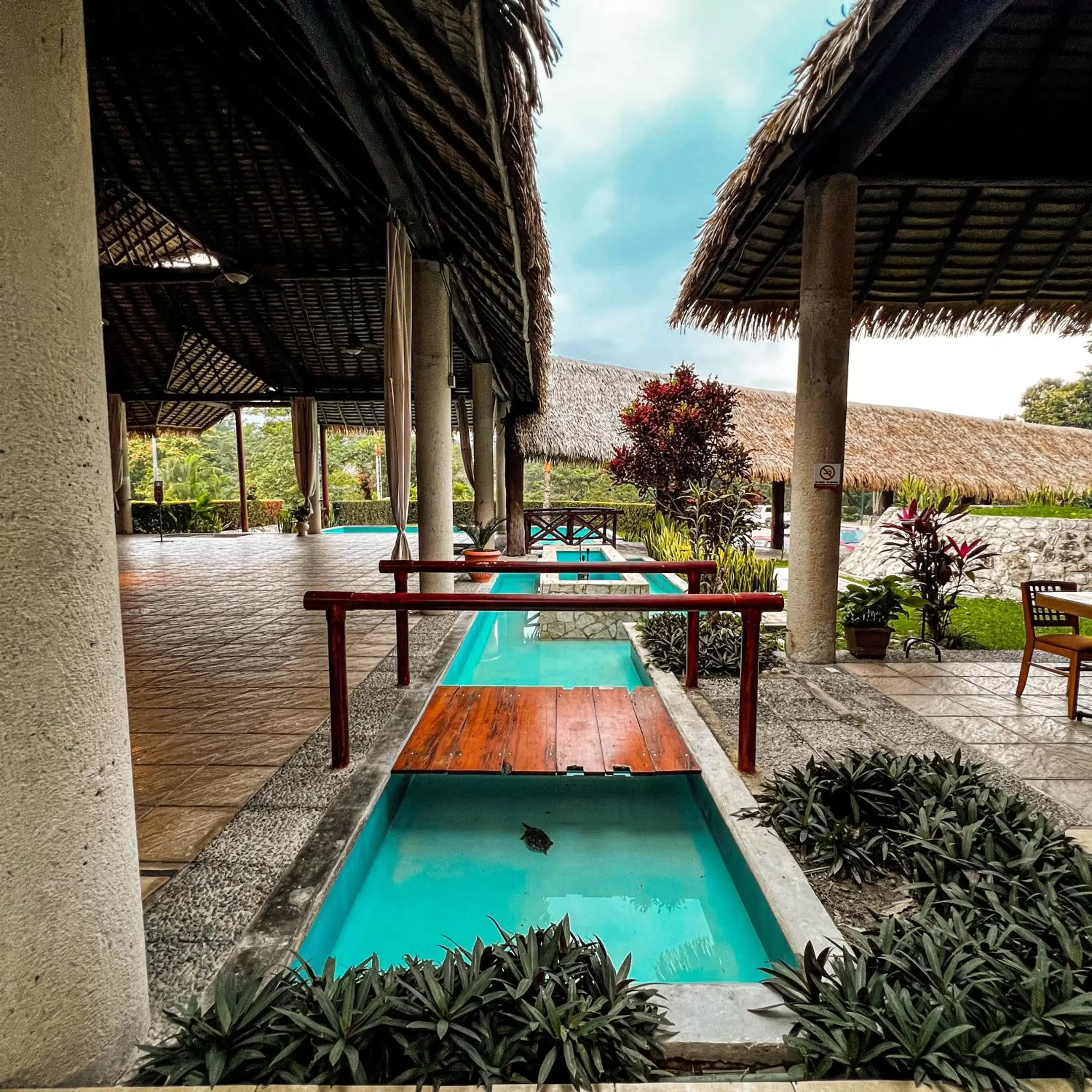 Day, Swimming Pool in Hotel Villa Mercedes Palenque