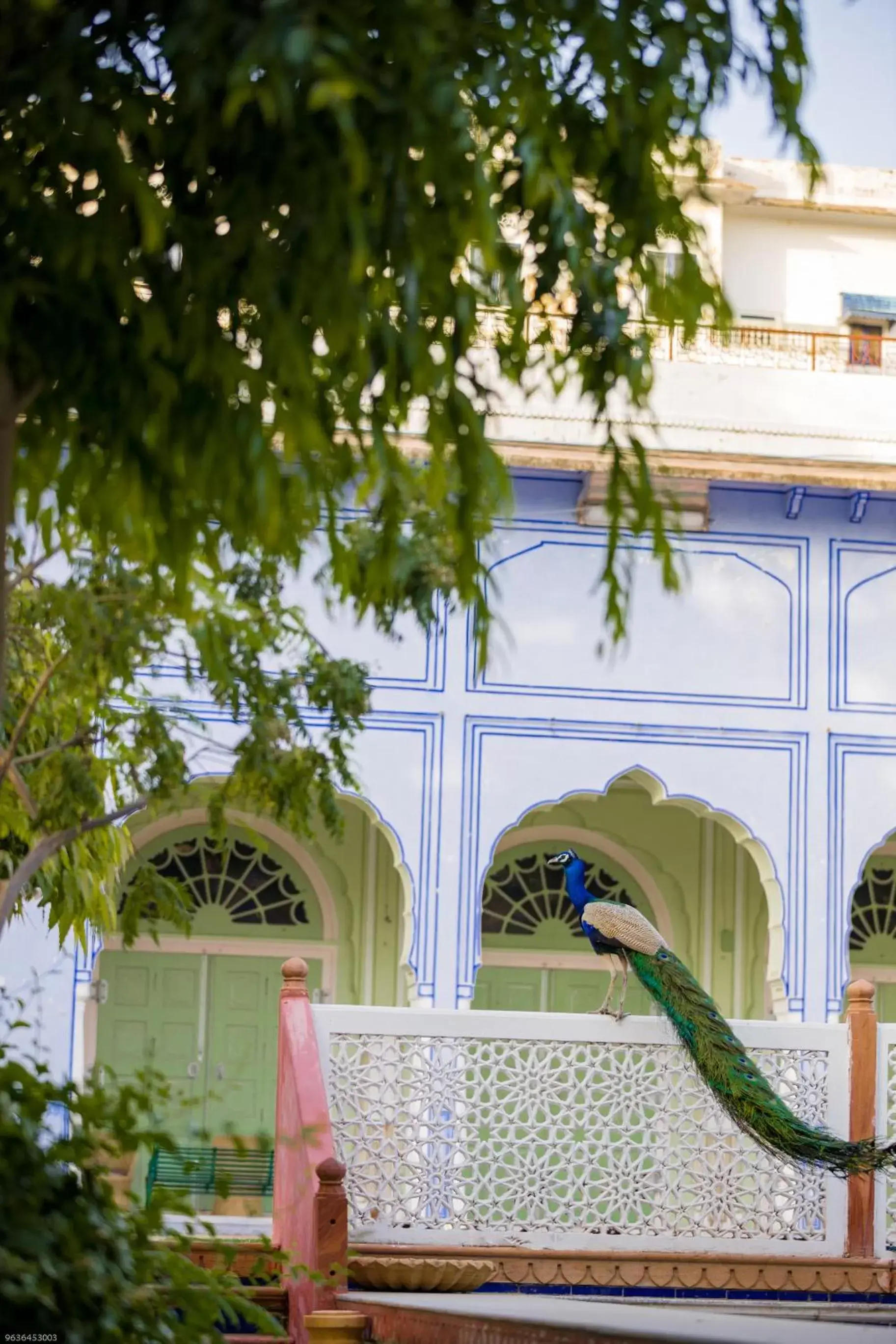 Property building in Diggi Palace - A City Center Hidden Heritage Gem Property building in Diggi Palace - A City Center Hidden Heritage Gem