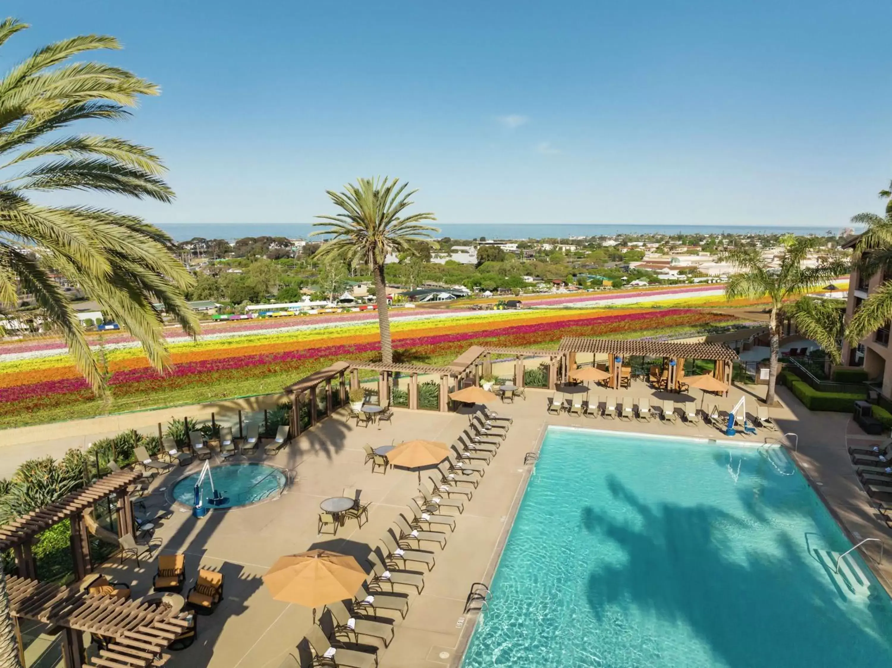 Swimming pool, Pool View in The Cassara Carlsbad, Tapestry Collection By Hilton