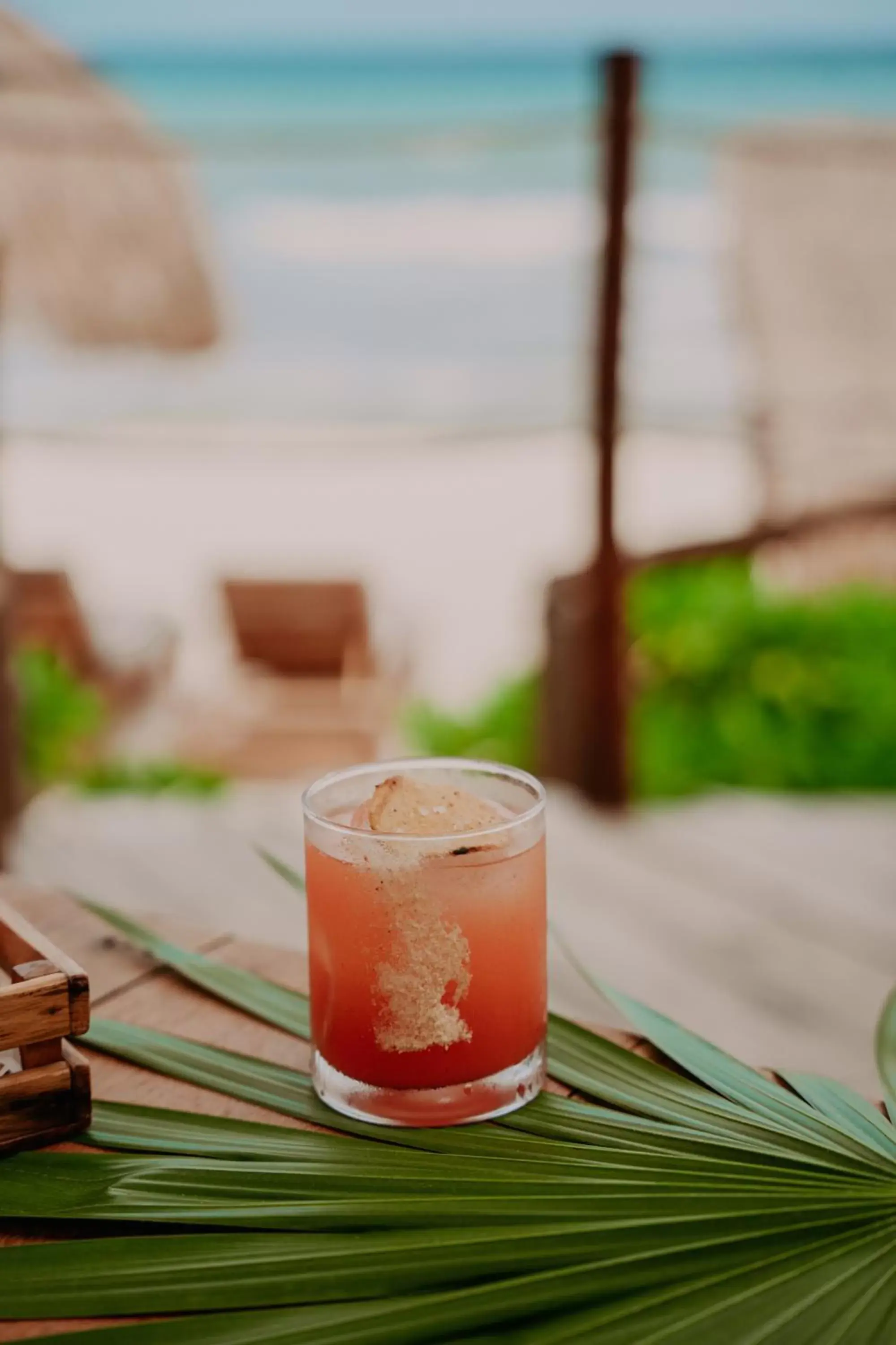 Food and drinks, Drinks in Petit Lafitte Beach Front Hotel & Bungalows