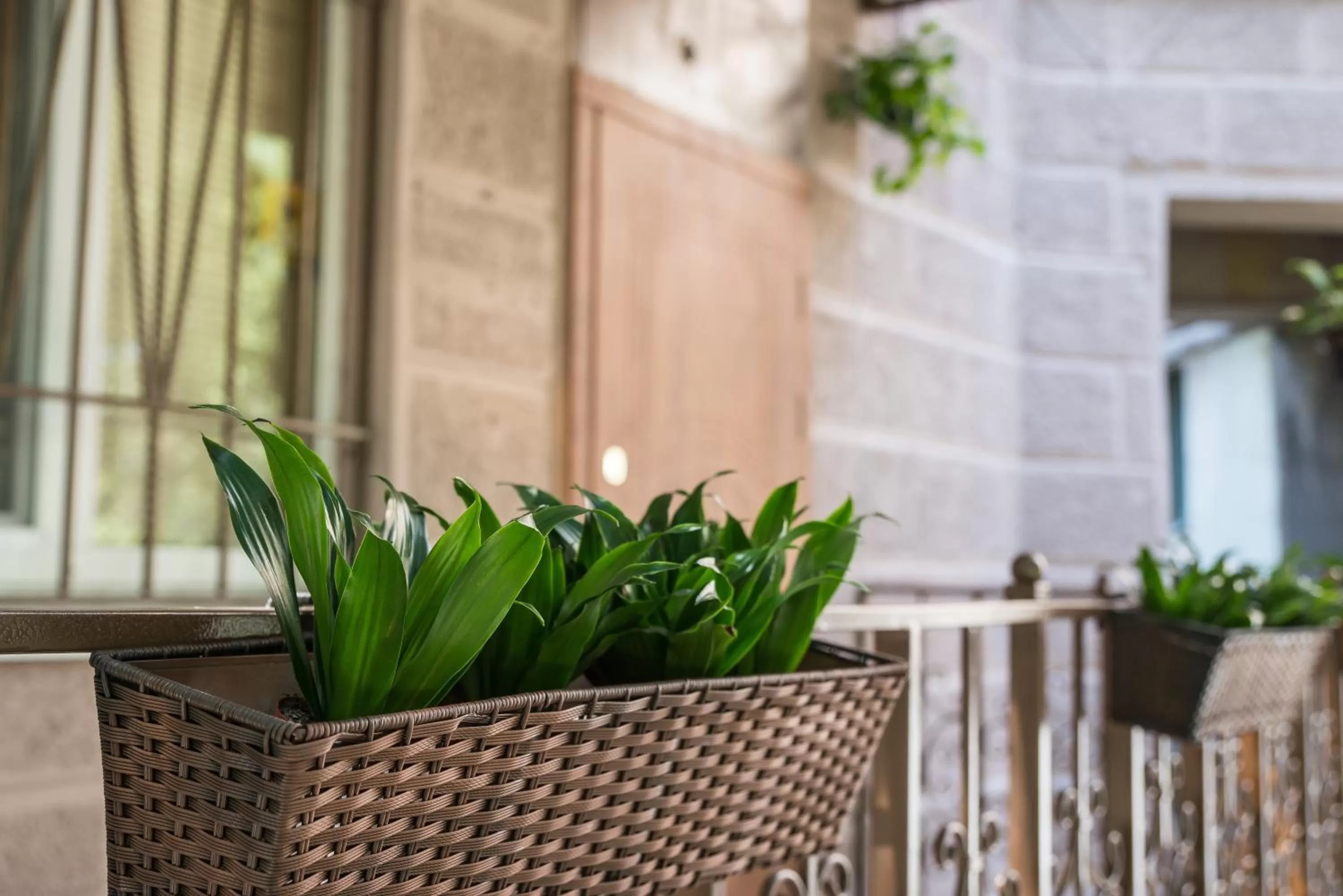 Area and facilities in L.O.Y Family Hotel