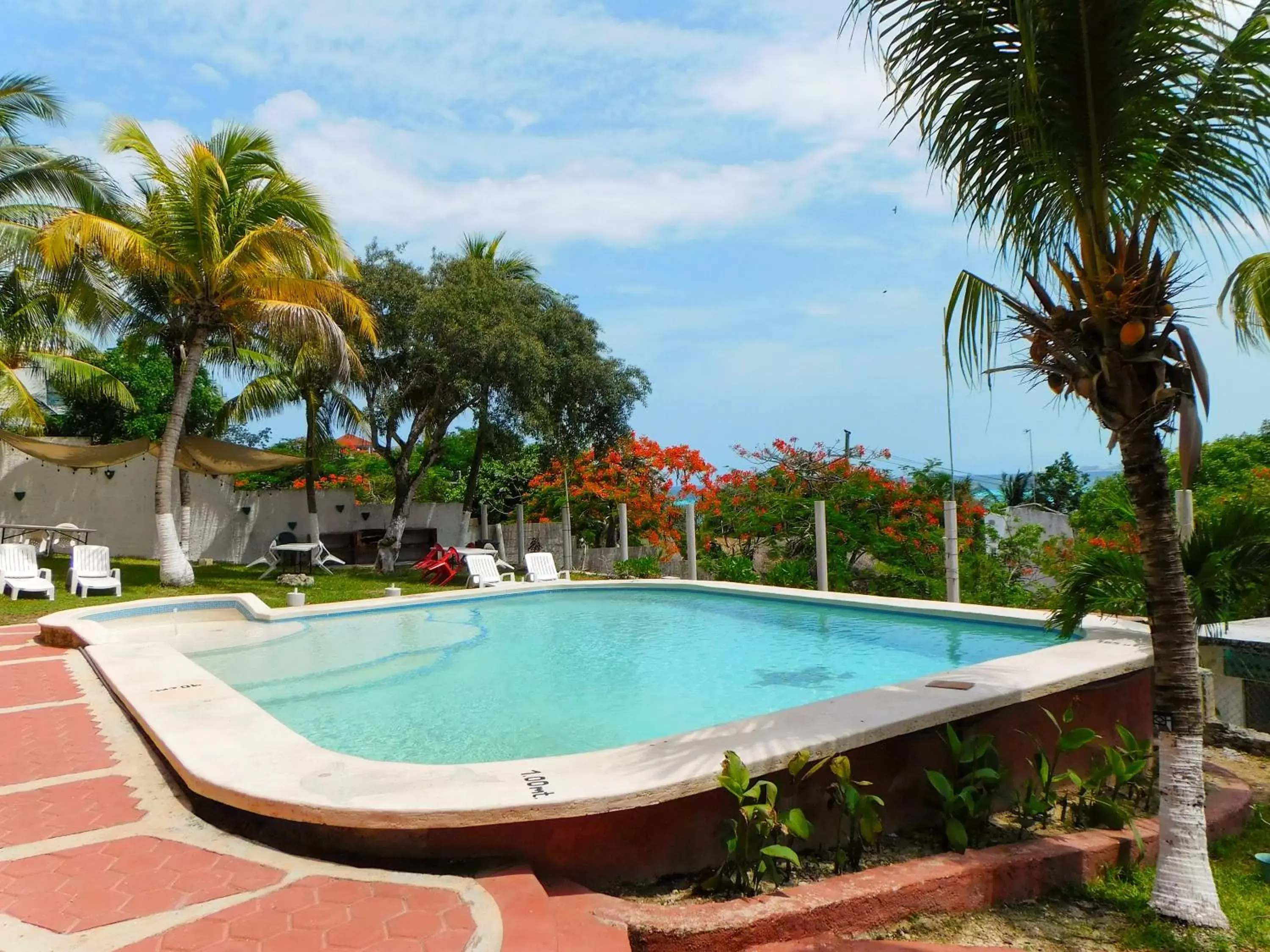 Swimming Pool in Hotel Ma Elena