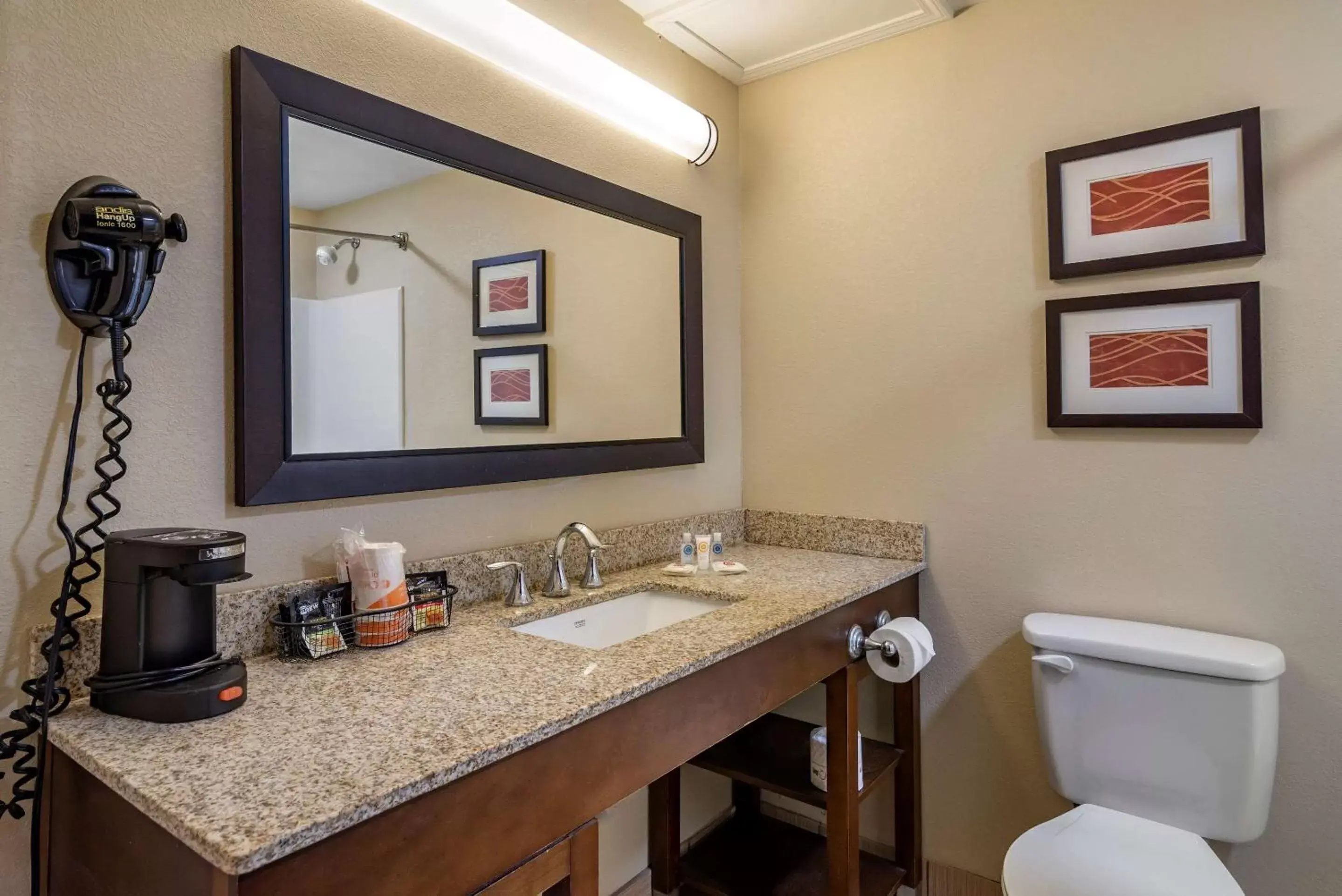Bathroom in Comfort Inn Opelika - Auburn