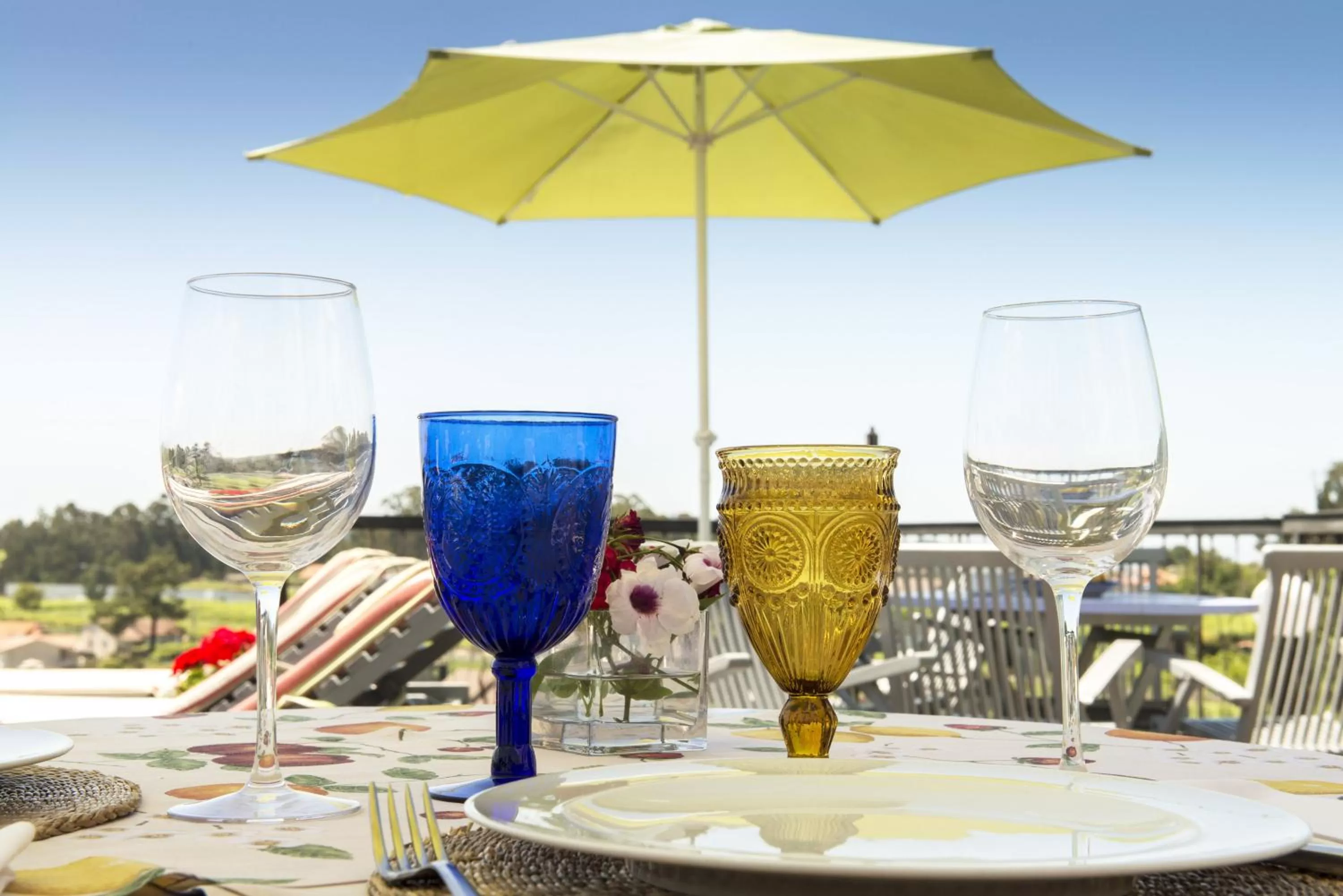 Day in Quinta de San Amaro Rias Baixas