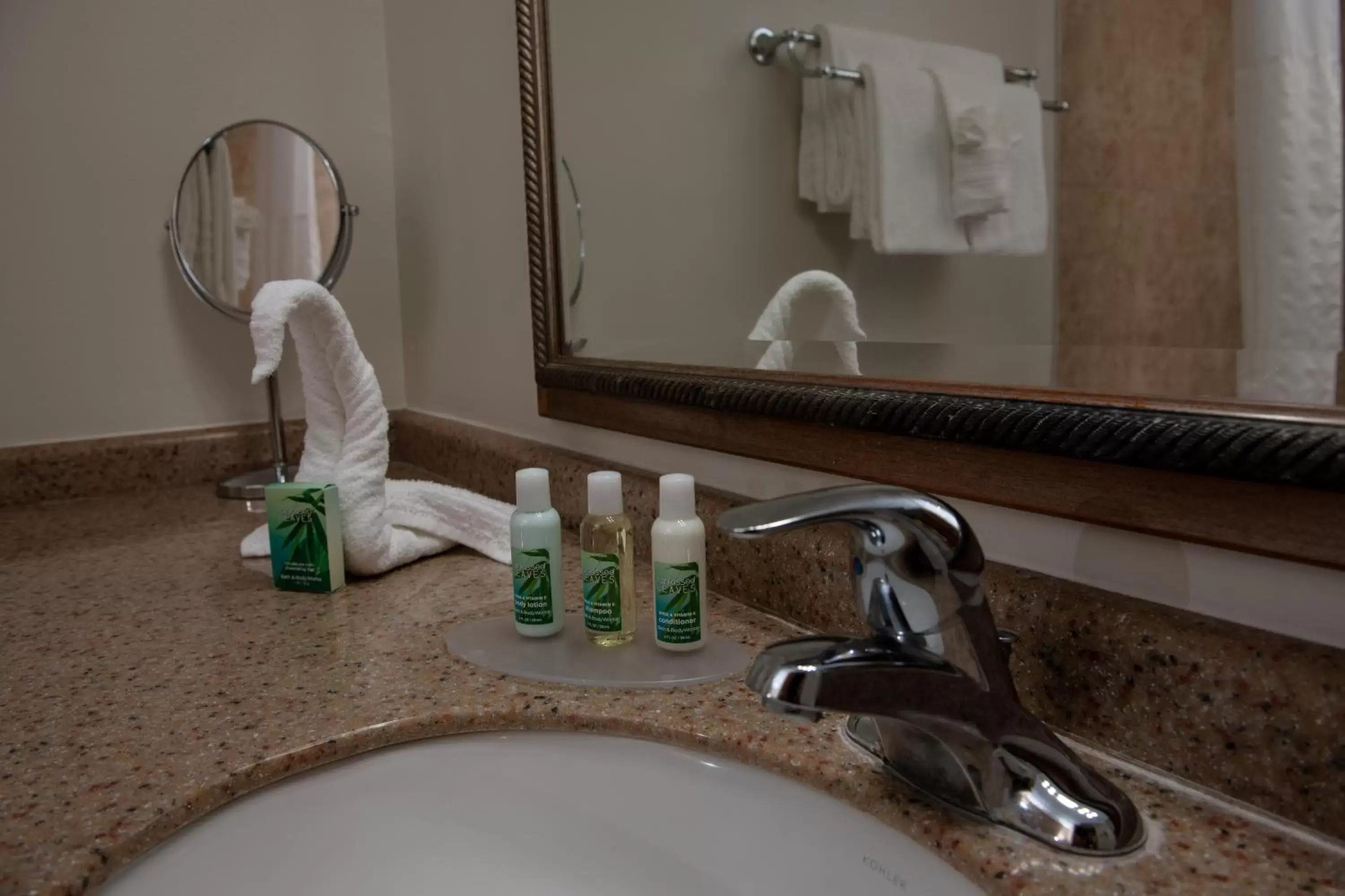 Decorative detail, Bathroom in Caribe Hotel Ponce