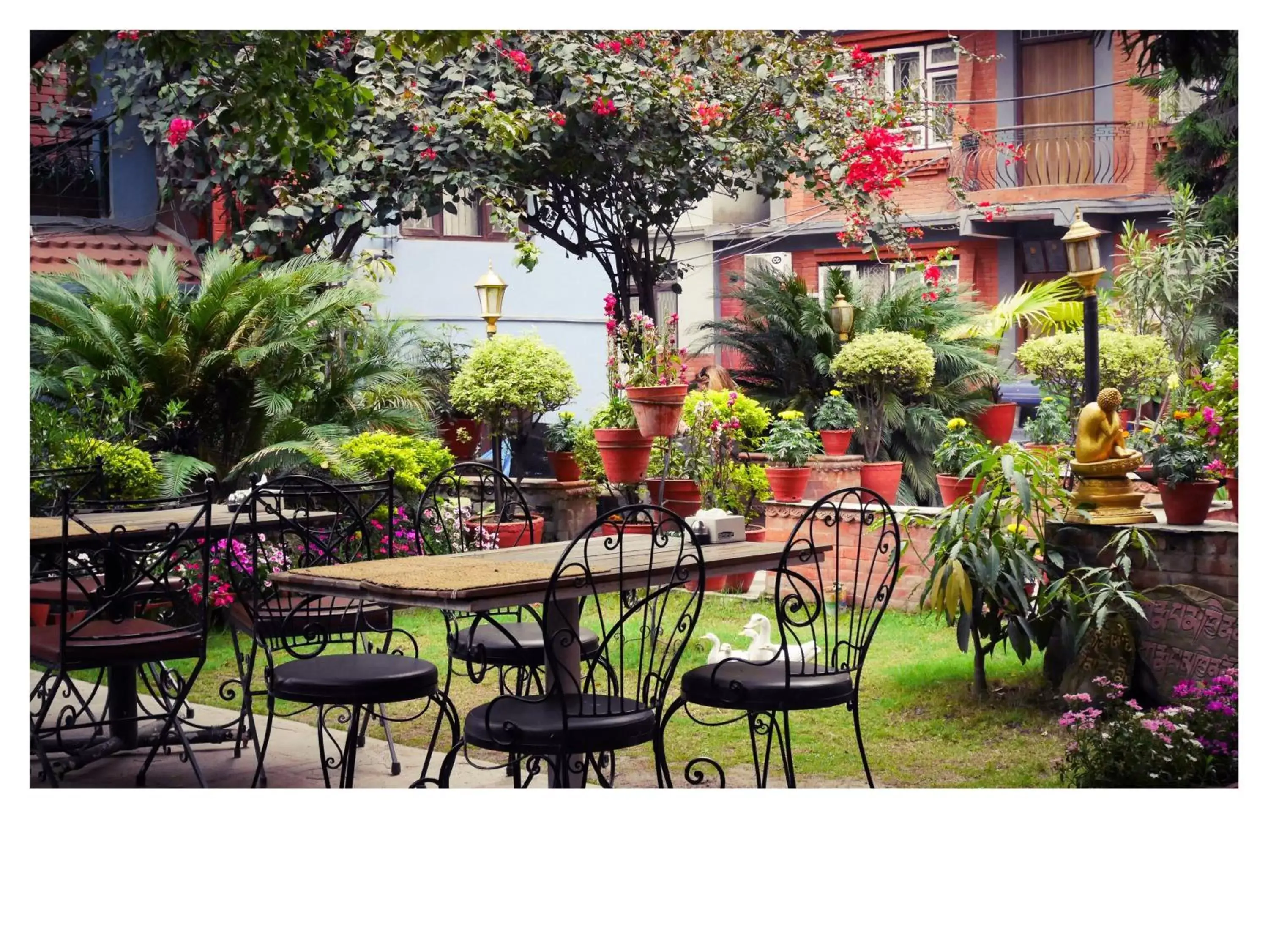 Garden in Hotel Ganesh Himal