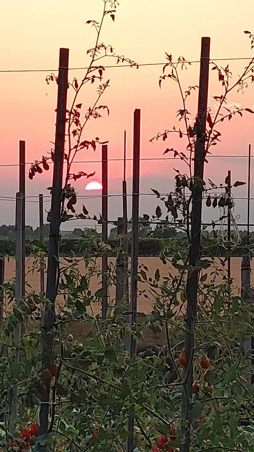 Natural landscape in B&B Al Vecio Morer