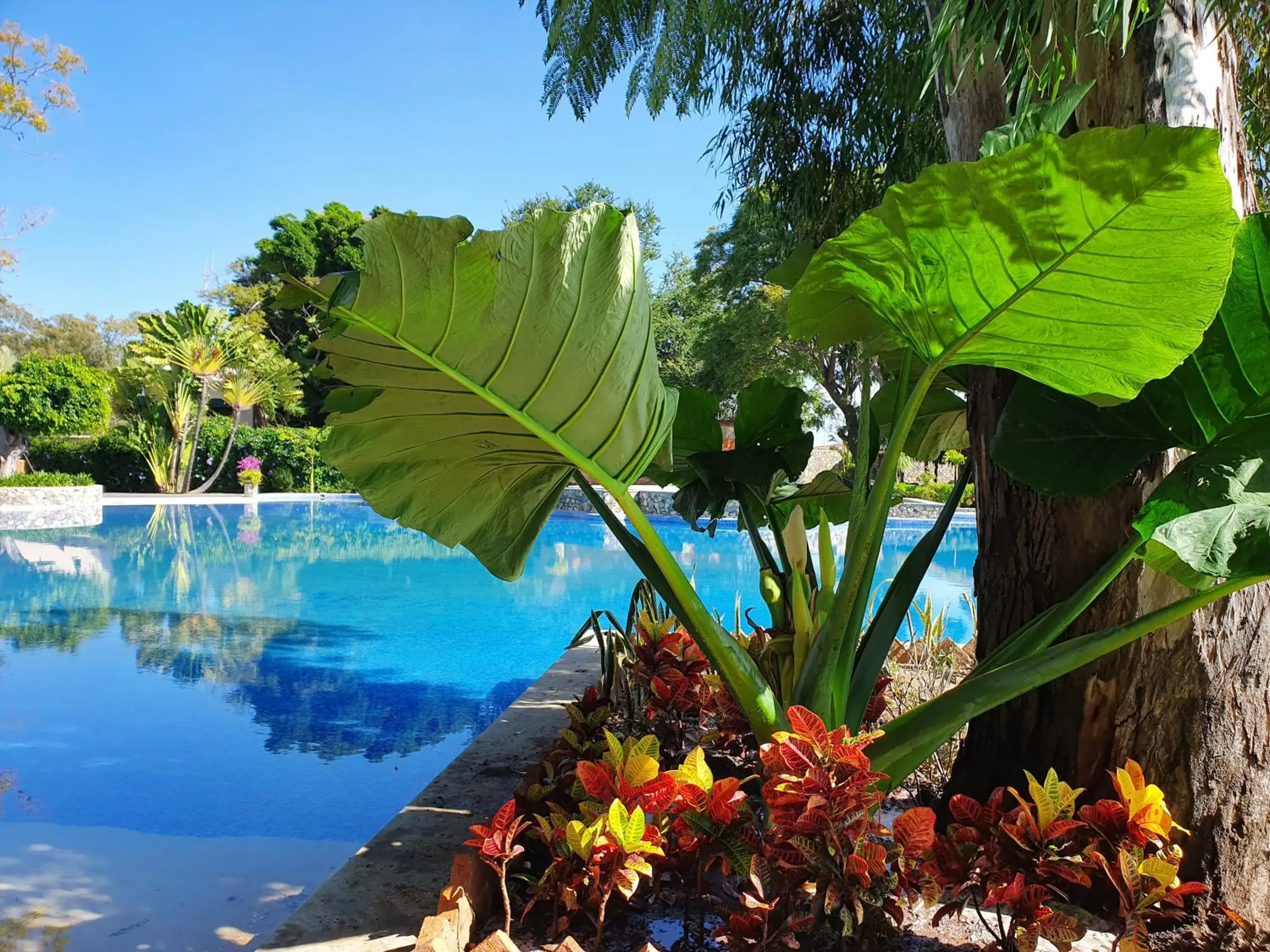 Swimming Pool in Nimue Marina Residence