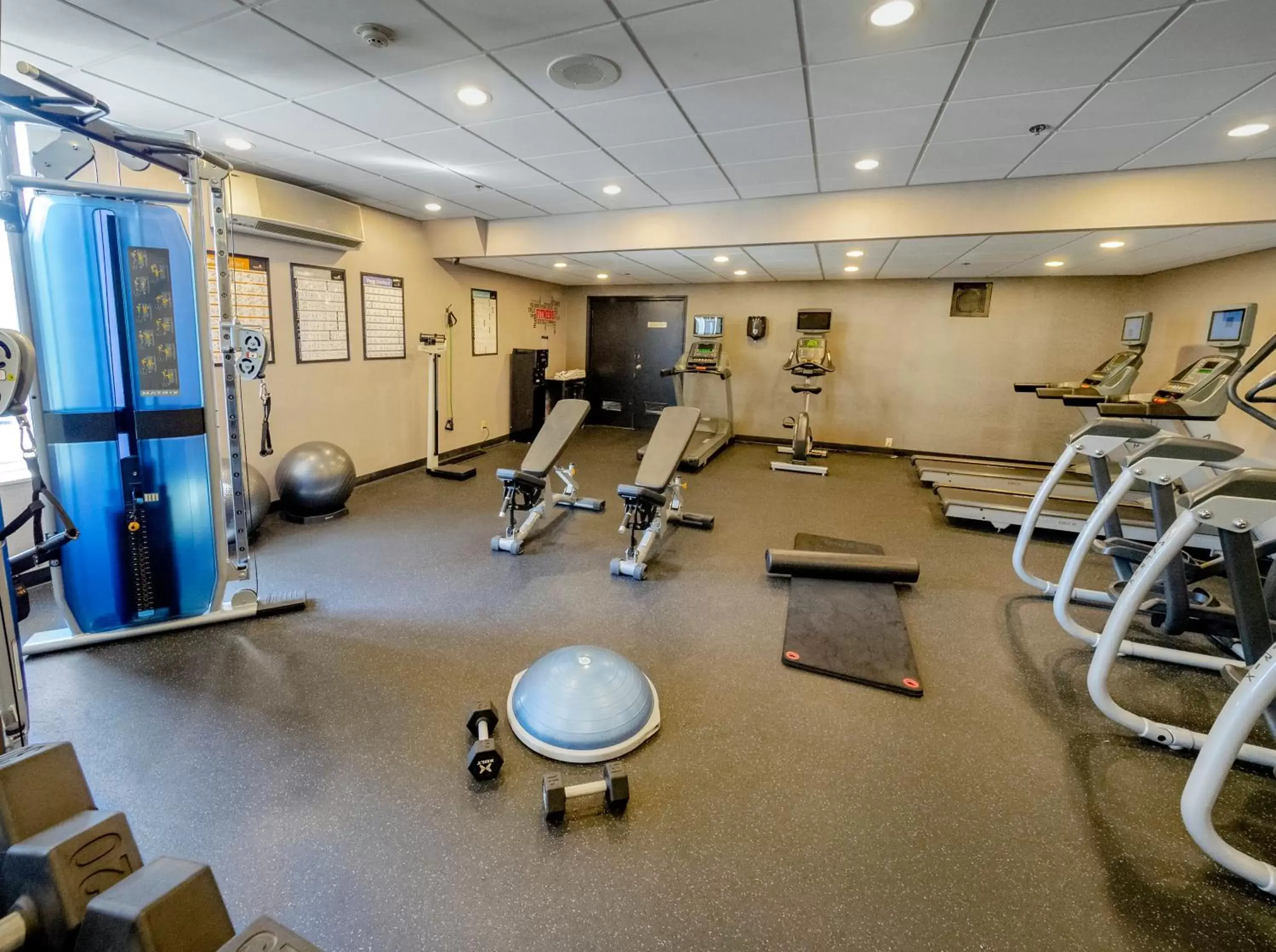 Spa and wellness centre/facilities, Fitness Center/Facilities in Holiday Inn Niagara Falls-Scenic Downtown, an IHG Hotel