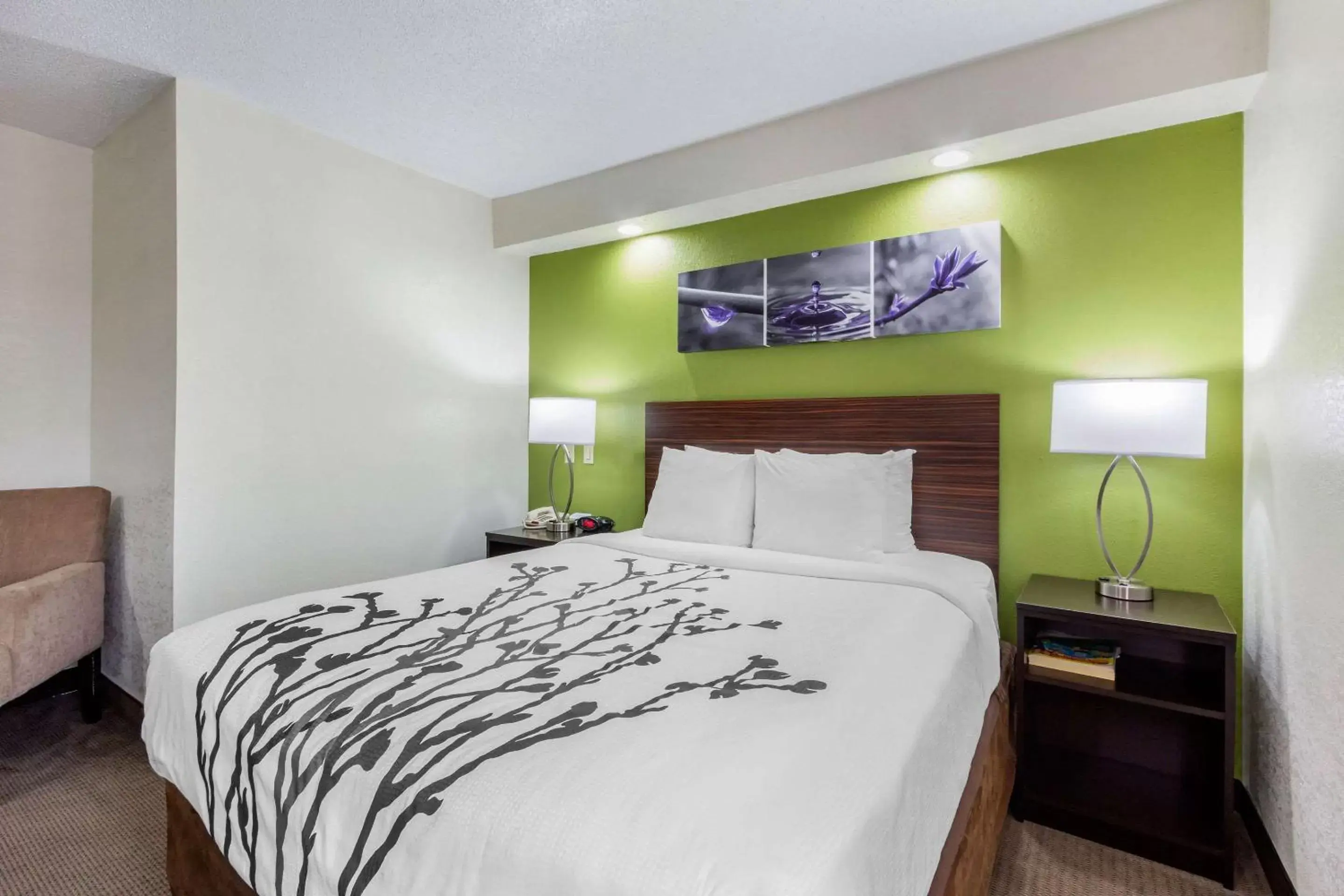 Photo of the whole room, Bed in Sleep Inn near Busch Gardens - USF